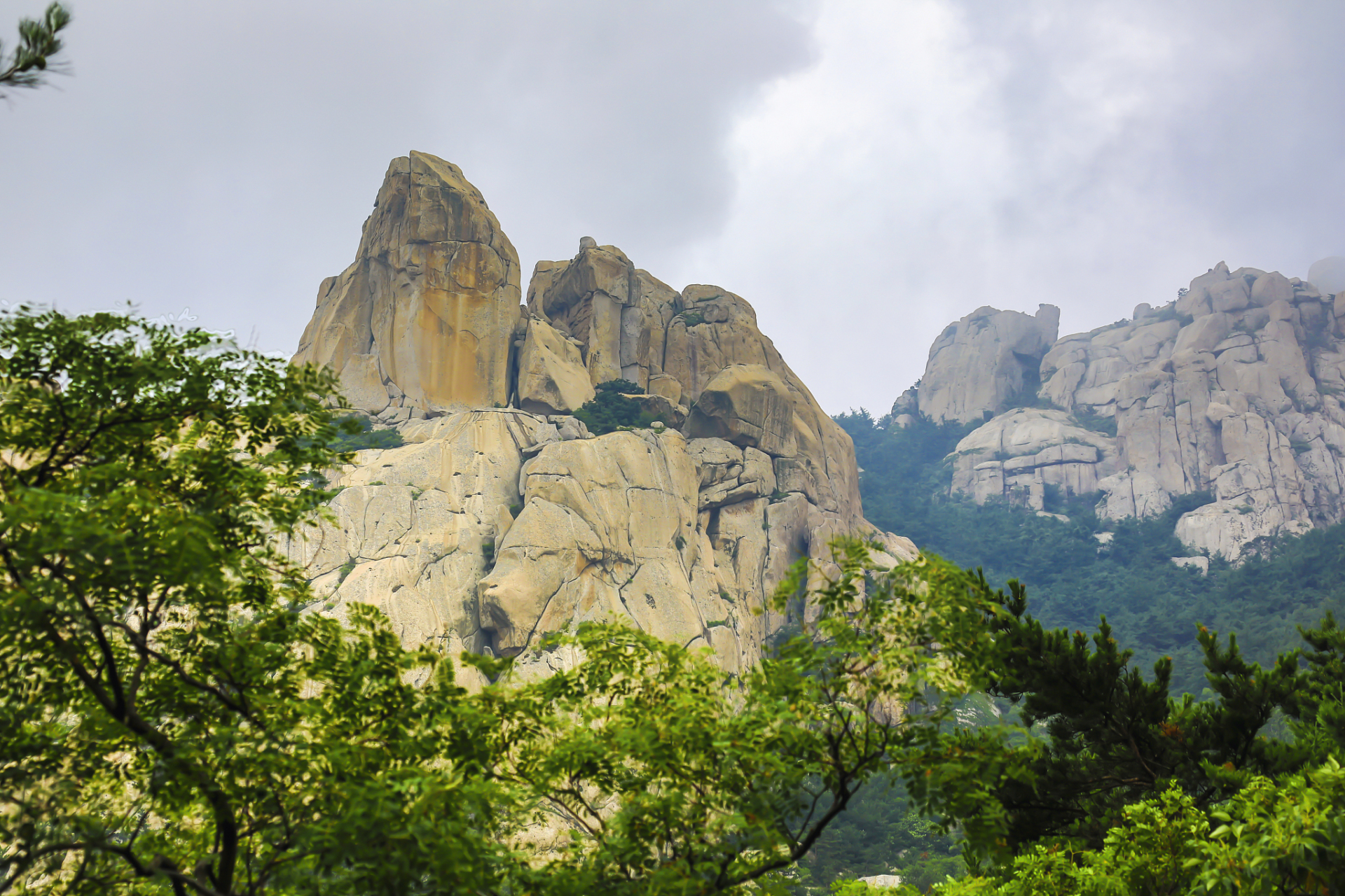 昆嵛山层峦叠嶂,森林茂密.