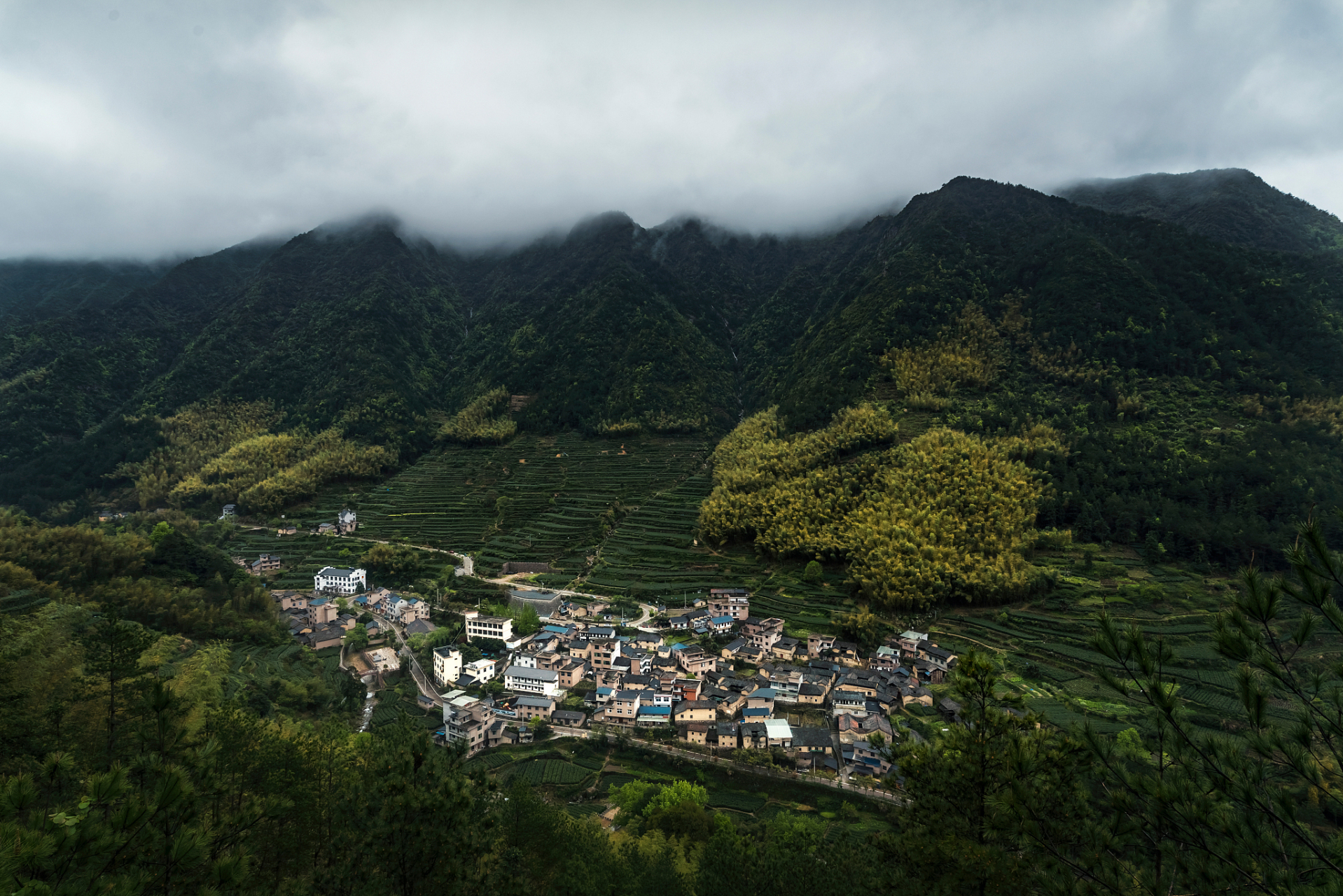 夏日,山上郁郁葱葱,凉爽宜人,仿佛是一个天然的大空调.