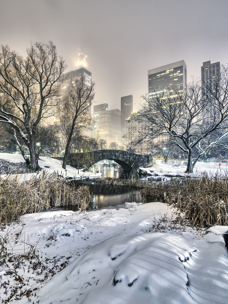 看着窗外的雪图片图片