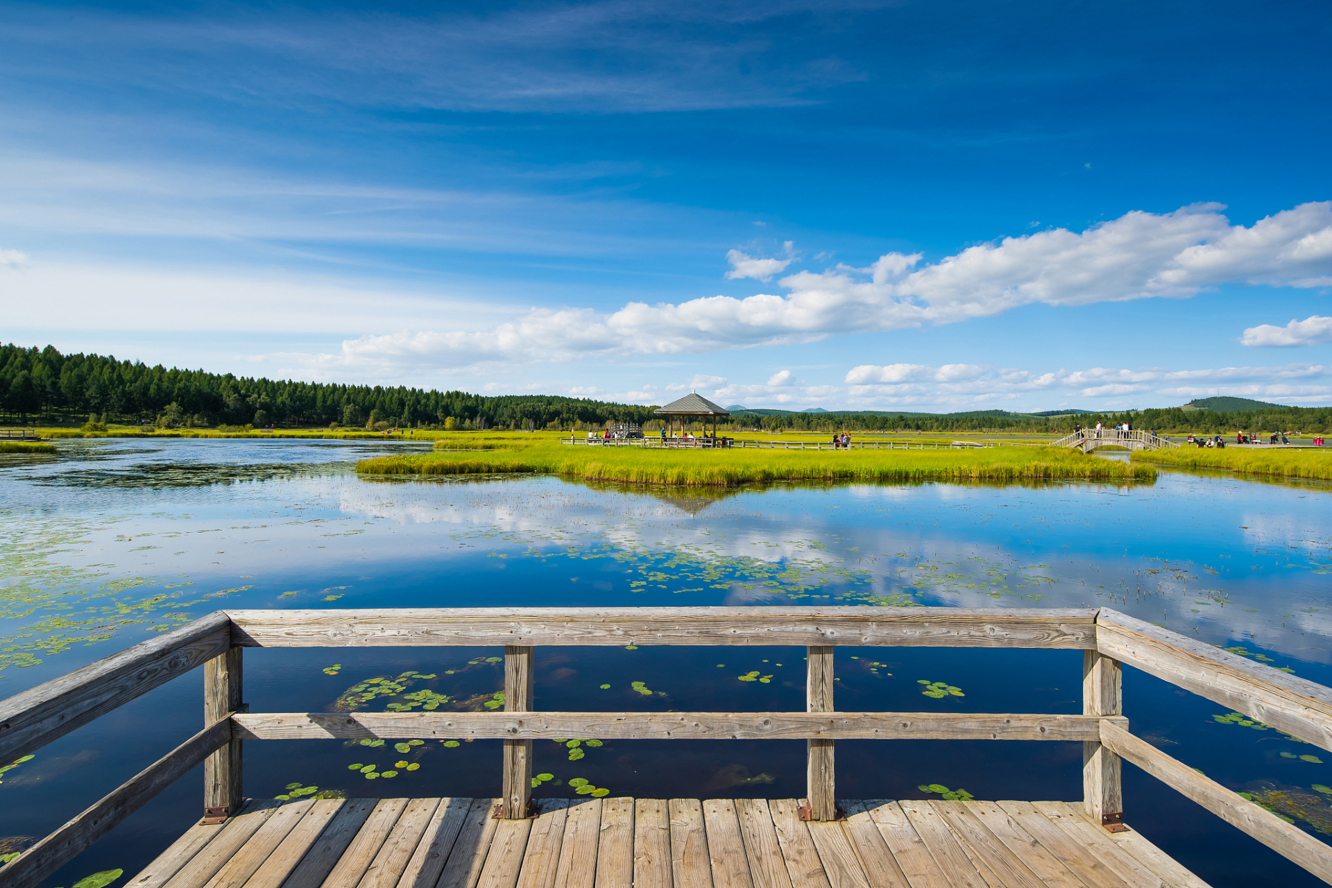 奇遇那拉提#那拉提恰普河景区位于新疆塔城地区乌苏市的恰普河谷中