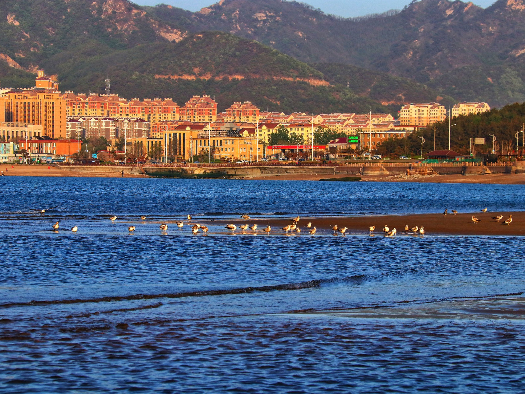 拥有许多美丽的旅游景点,包括冰峪沟,庄河海洋公园,黑岛旅游度假区