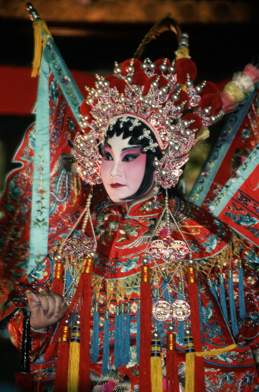 再见coco,愿你来生继续耍花枪!