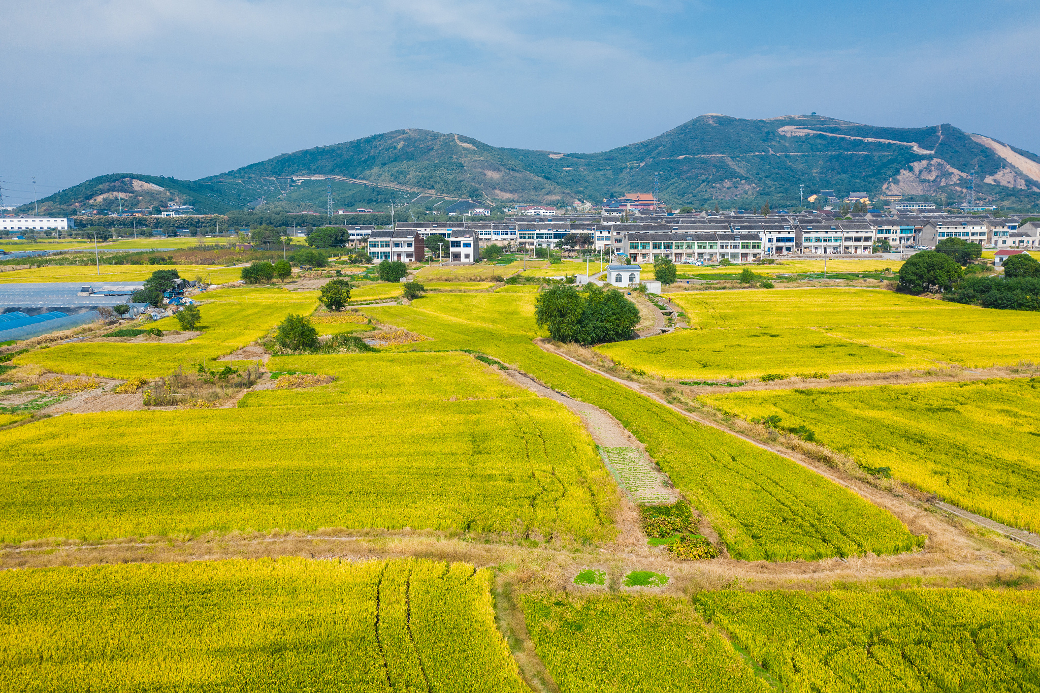 三明市的大田县田园风光,秋季的田野风景会展现怎样的自然美?