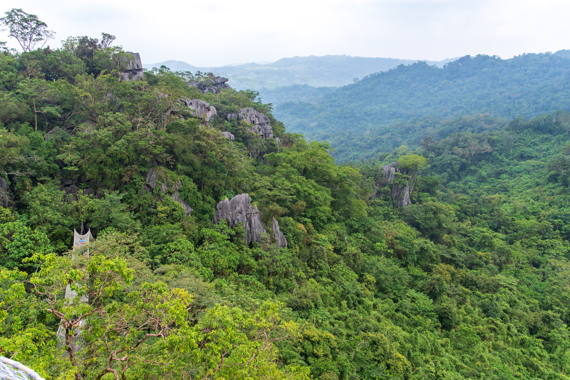 白石岭山顶图片