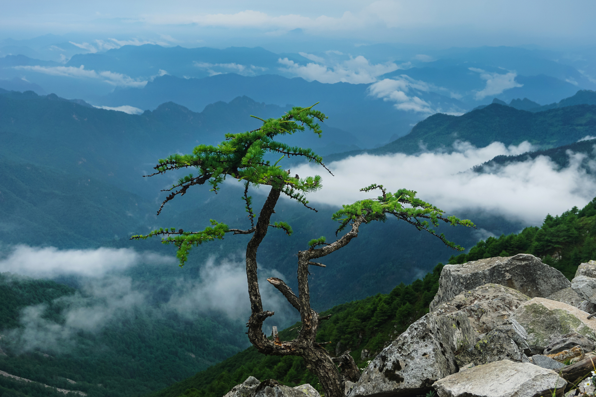 秦岭山脉最高的山峰图片