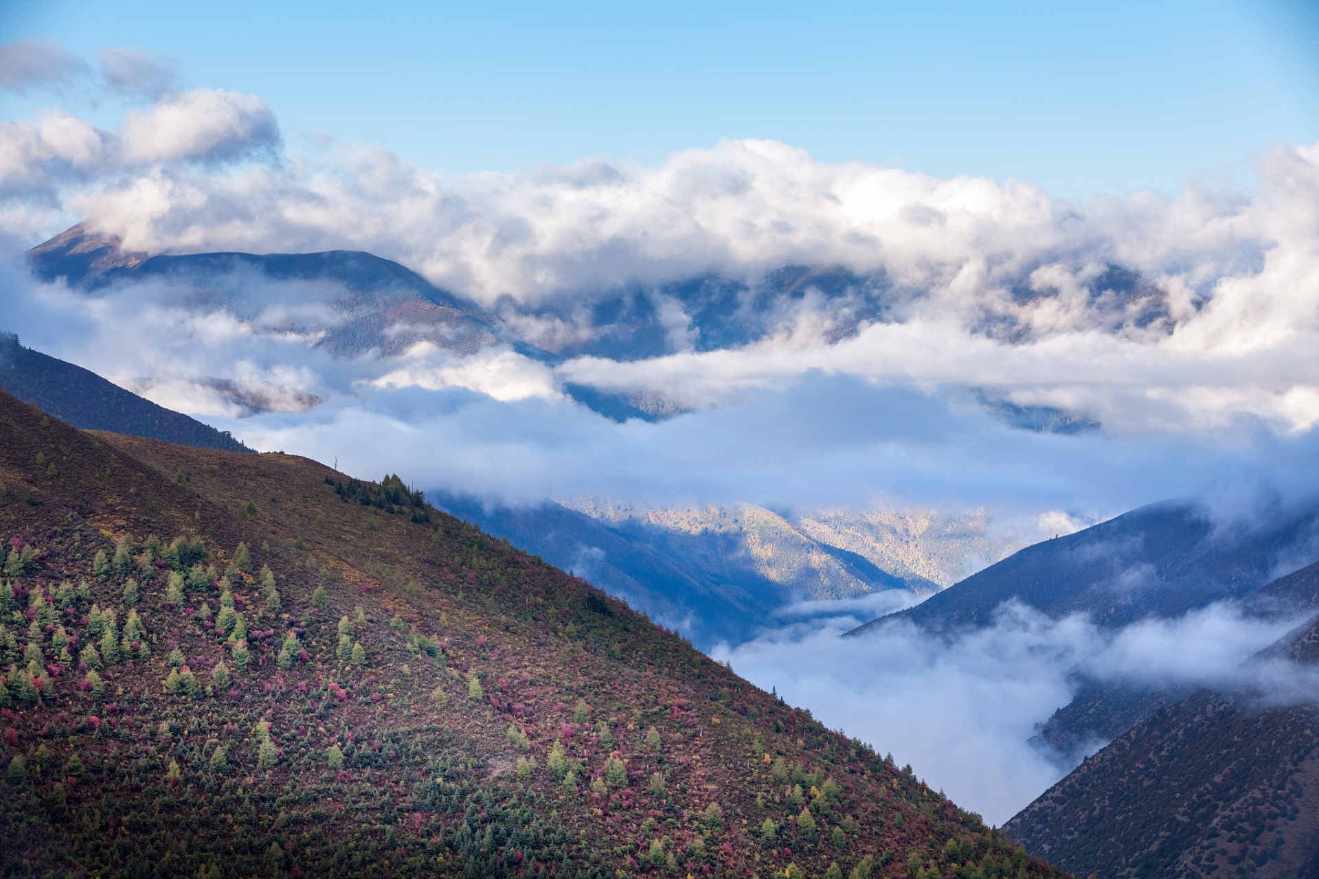 巴朗山,又称斑斓山,是四川省阿坝州小金县和汶川县的交界处,海拔5400