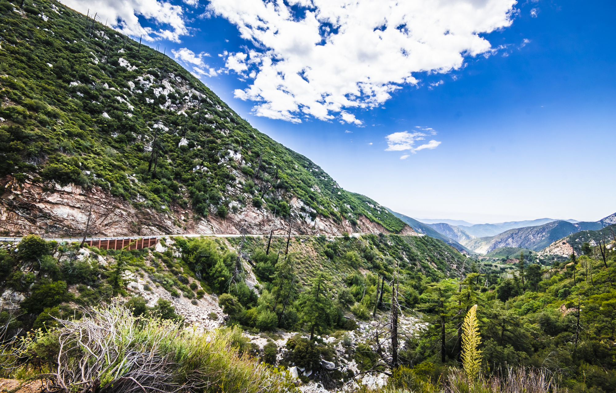 心定西再出发#定西首阳山景区是陕甘宁边区历史文化名山,是国家aaaa