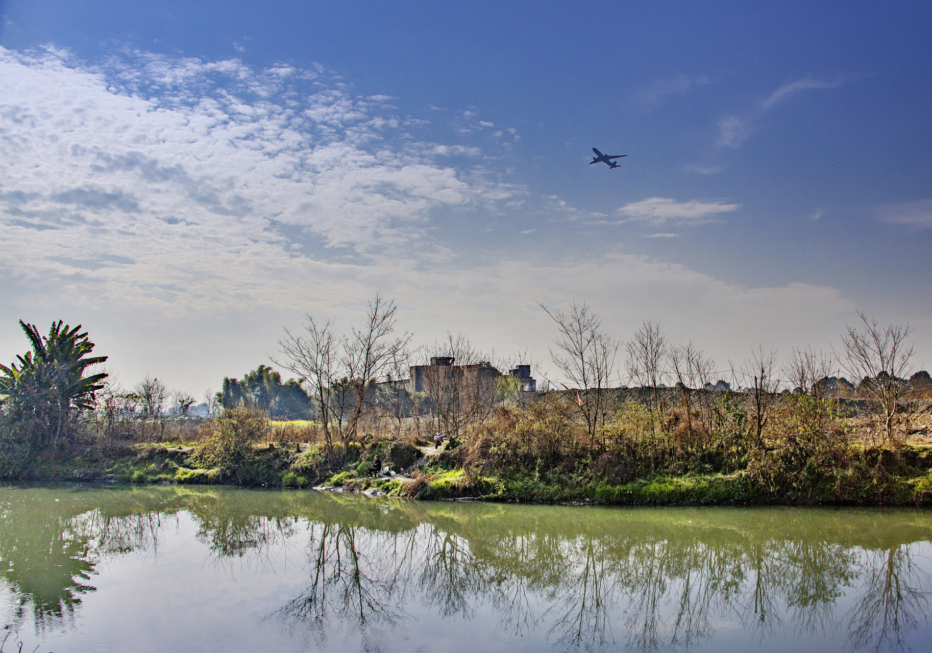 鲁家滩湿地公园位于温江区,西侧是金马河,东侧是鲁家滩水库,中际乔