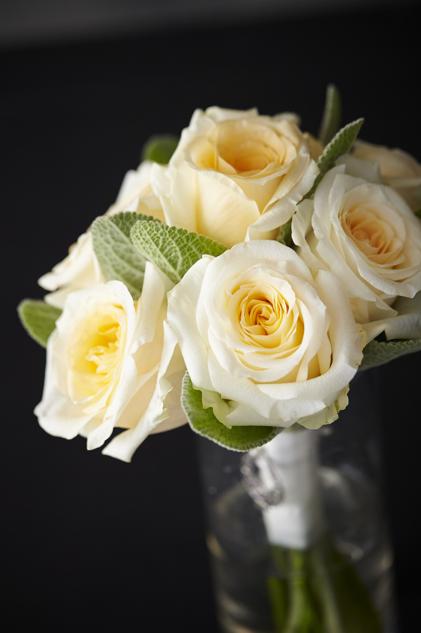 9894 当鲜花与感恩相遇,奇迹发生了!