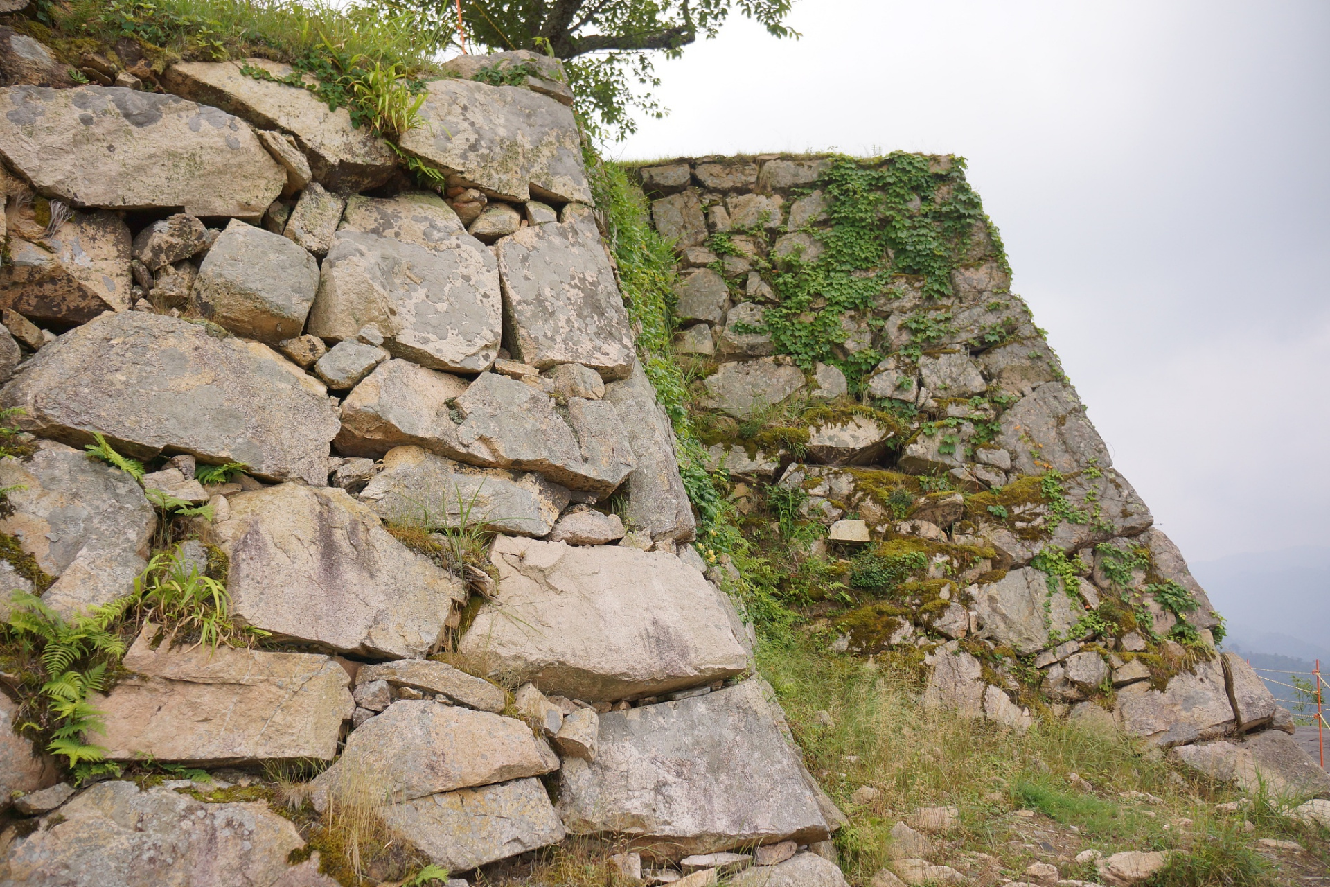 城墙岩群,原名"城墙砾岩",位于神农架的山麓,是一处自然奇观.