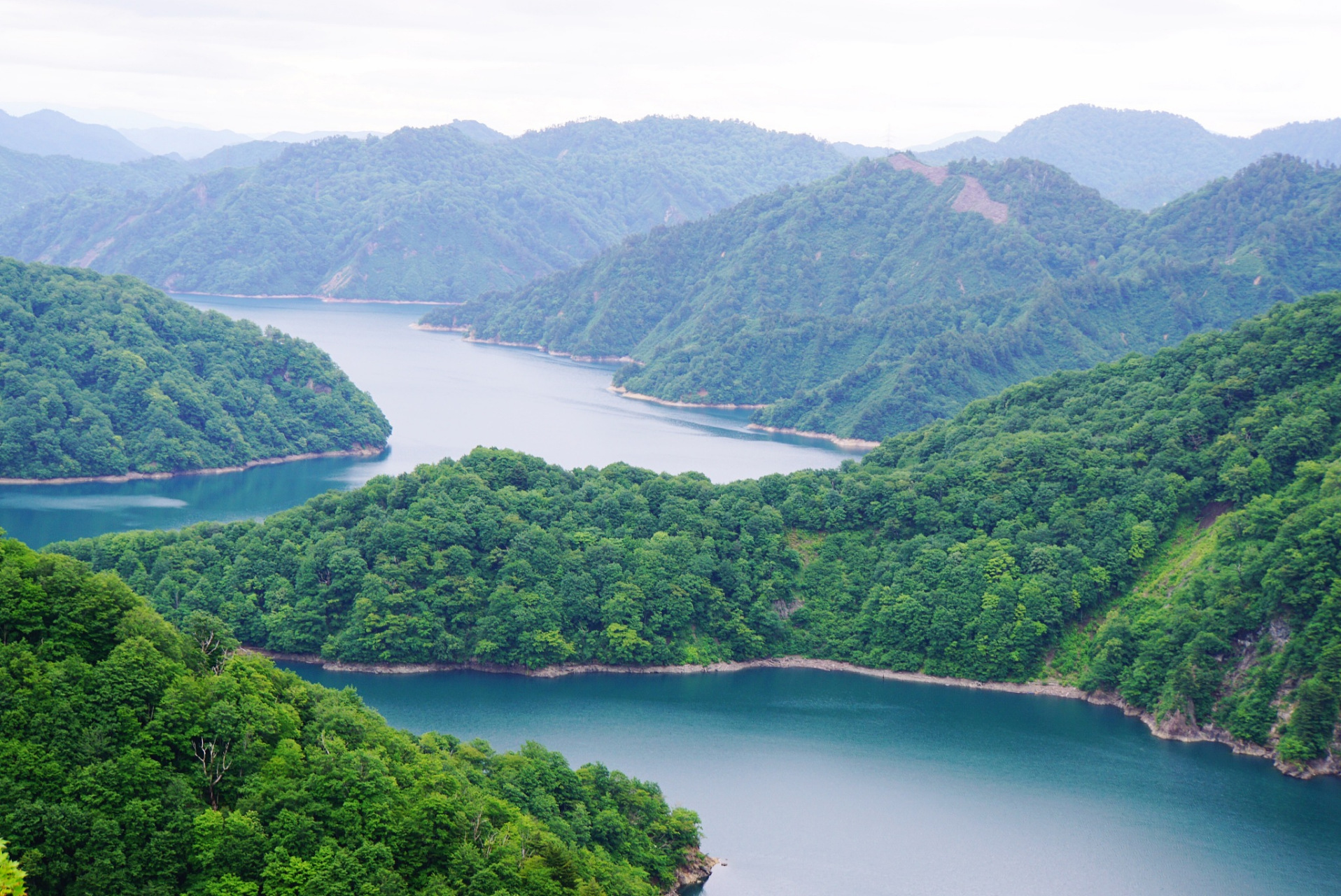 浙江富春江国家森林公园,位于美丽的浙江建德,海拔500米,是中亚热带常