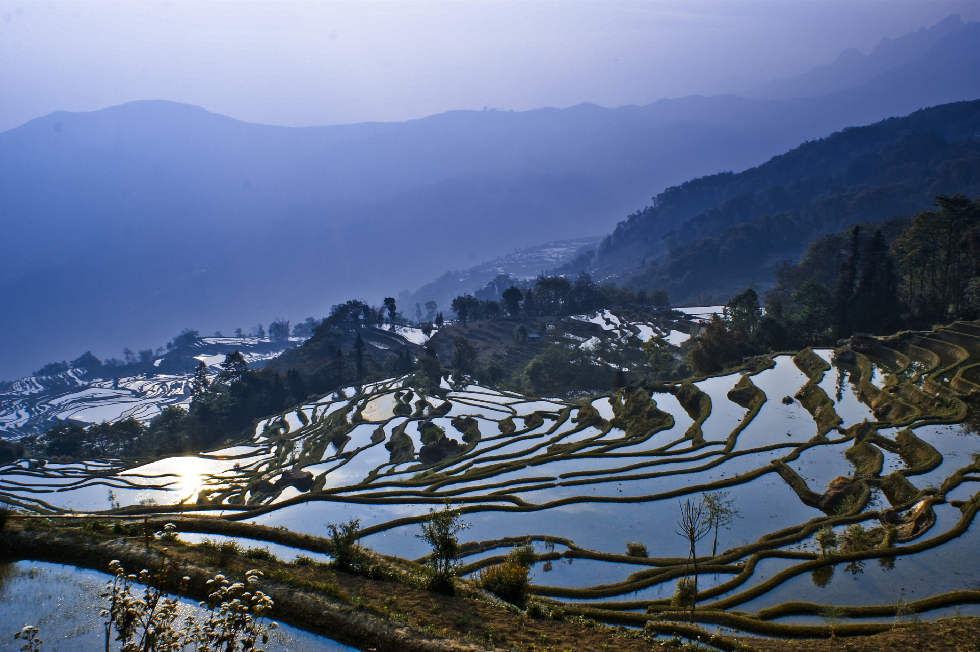 红河哈尼梯田图片大全图片