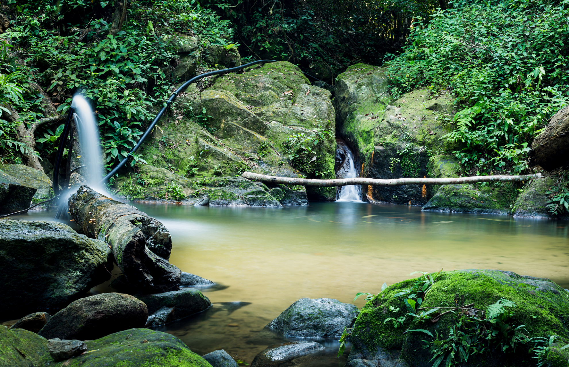 九龙江国家森林公园,位于湖南省郴州市汝城县境内,自古就有"千里烟雨
