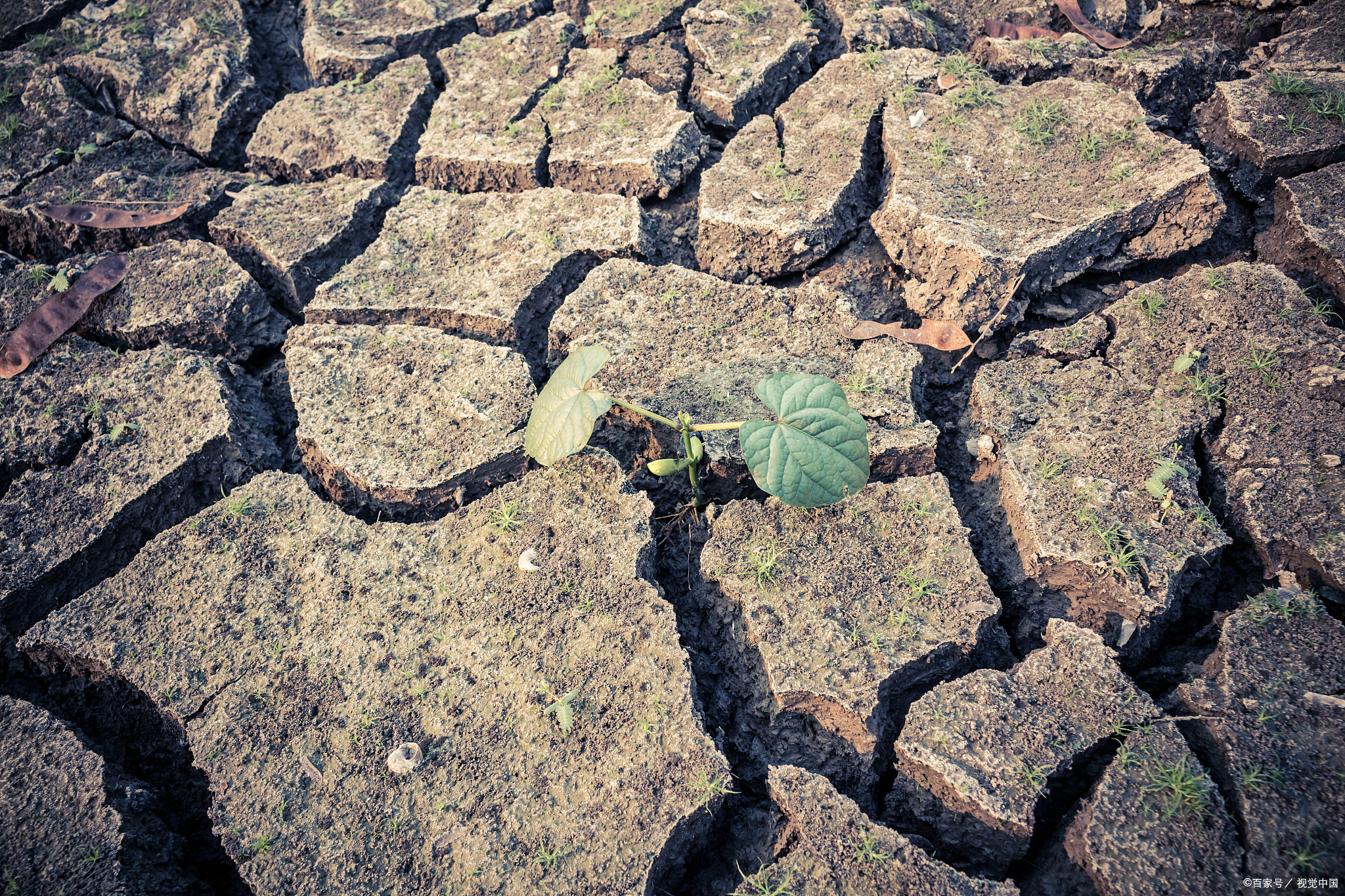 气候越来越热,地球留给人类的时间还有多久?科学家给出了答案