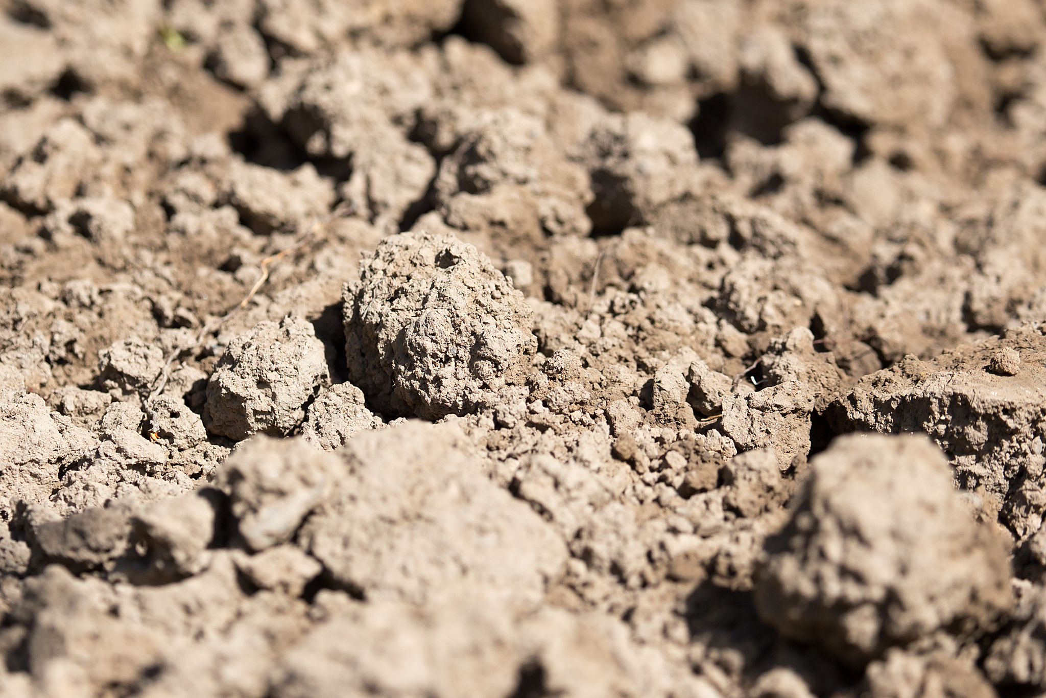 选对营养土配方:园士,腐叶上加珍珠岩/蛭石.比例按花卉需求调整!
