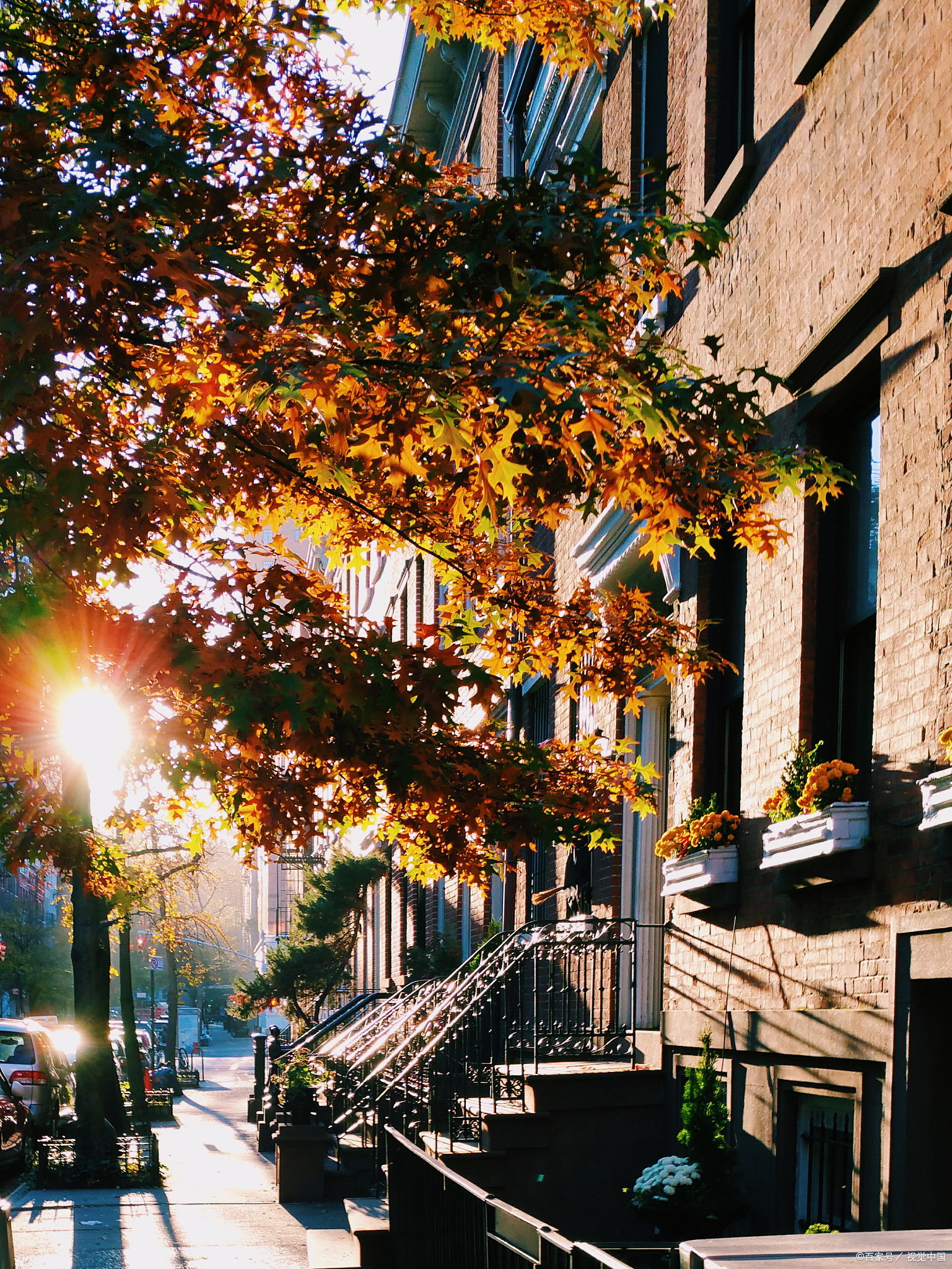 海上花园"的地方,以其独特的文艺气息和丰富的历史文化吸引了无数游客