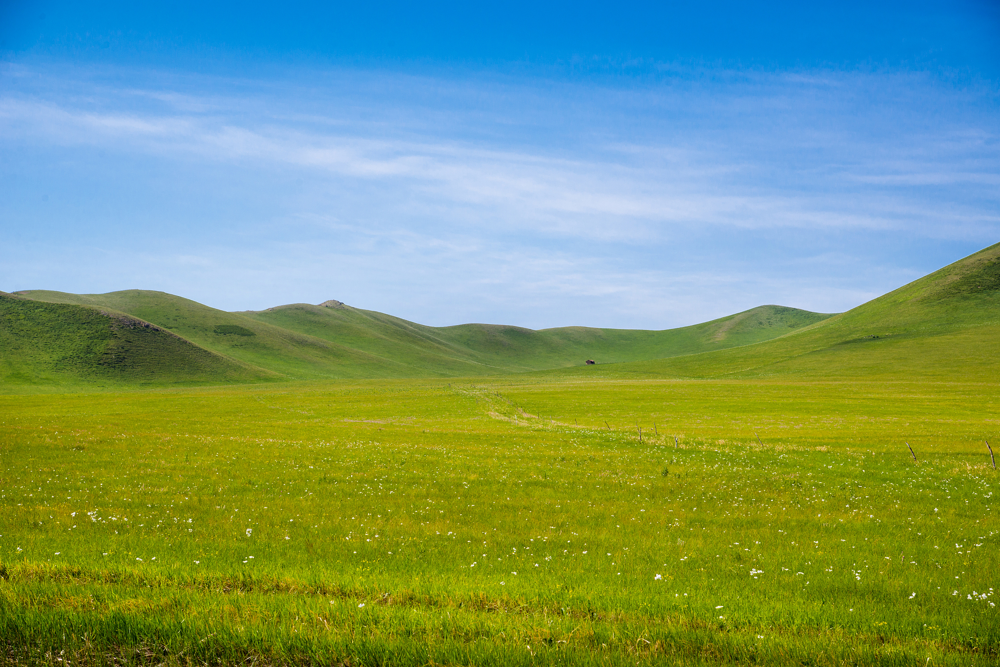 傍晚的高山草原:风车飞转,金辉尽染,惬意的美妙