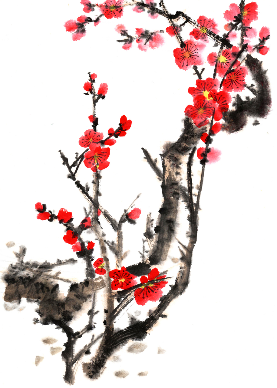 王梅花是古代以画梅花而闻名的画家,被誉为"梅花宗师".