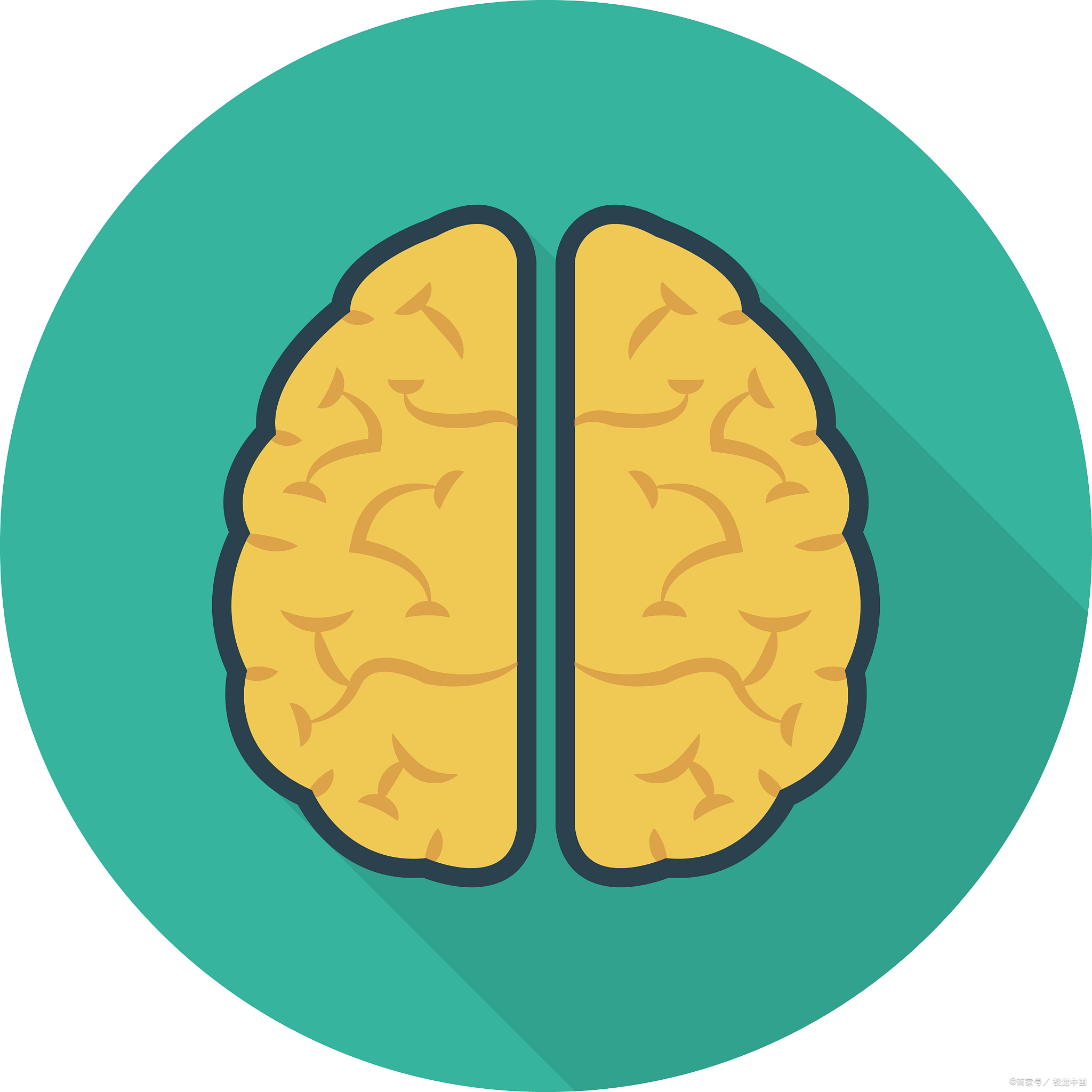 当你躺在床上呼呼大睡时,你的大脑其实并没有去度假或是偷个懒,反而它