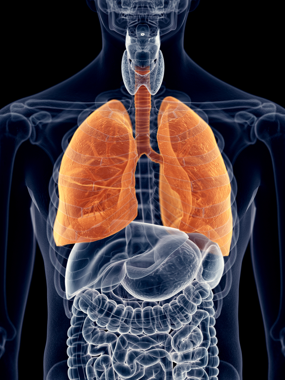 香烟中含有大量的有害物质,比如尼古丁,焦油,一氧化碳等.