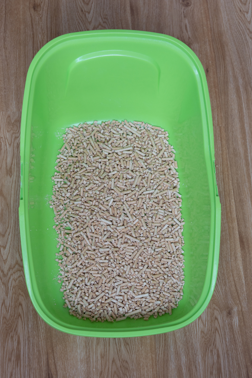 水稻种子浸种包括准备种子,清洁和浸泡,阴凉环境,水质控制,水分控制