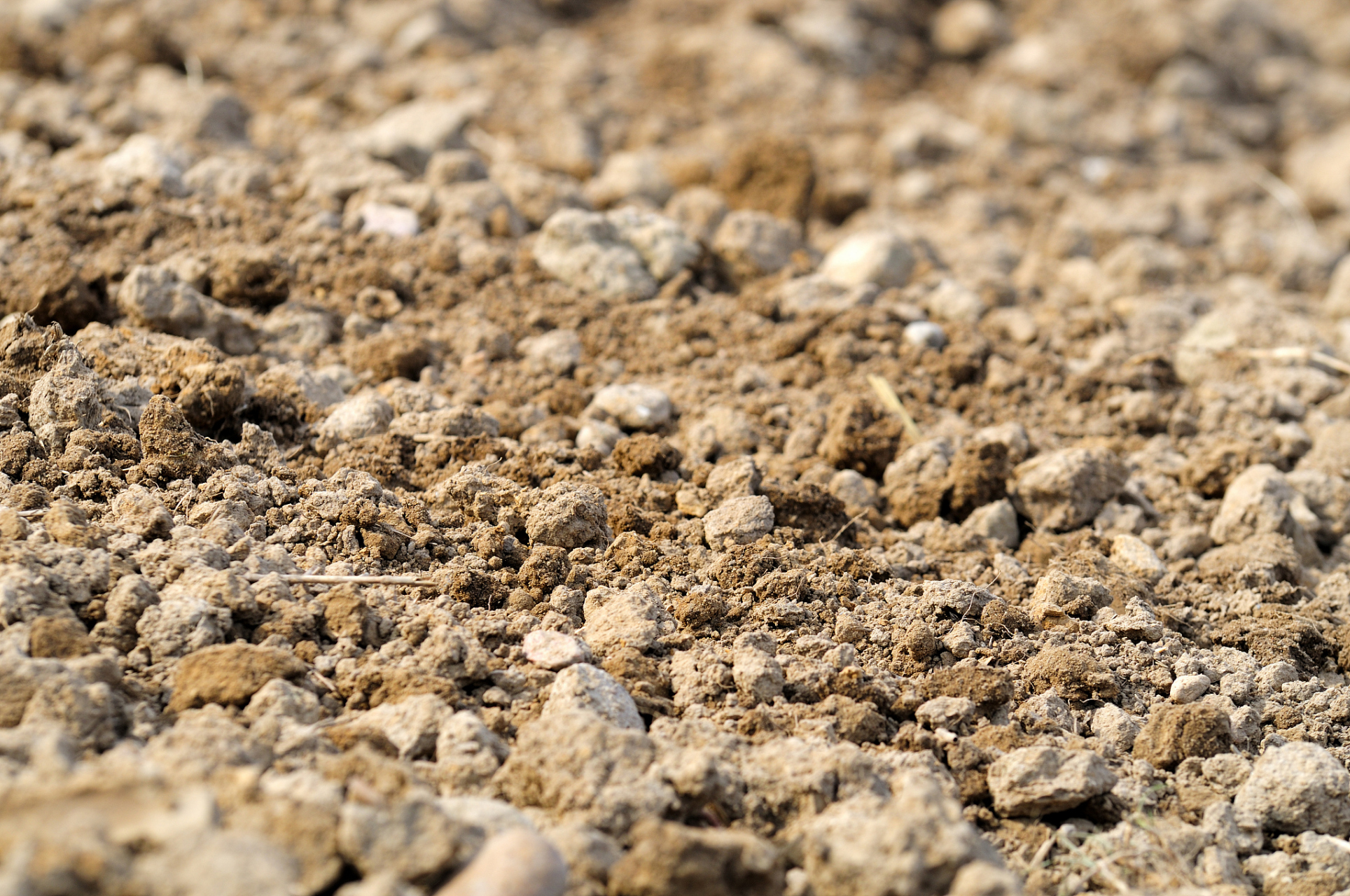 通过深入了解土壤分类,可以更好地利用土地资源,提高农业生产