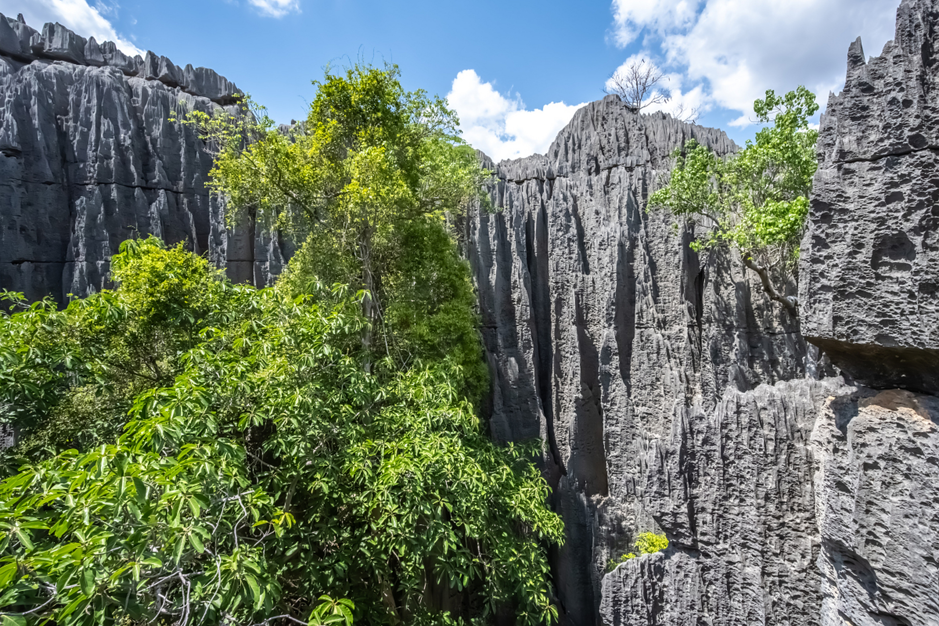 99 你们知道龙鳞石海吗?