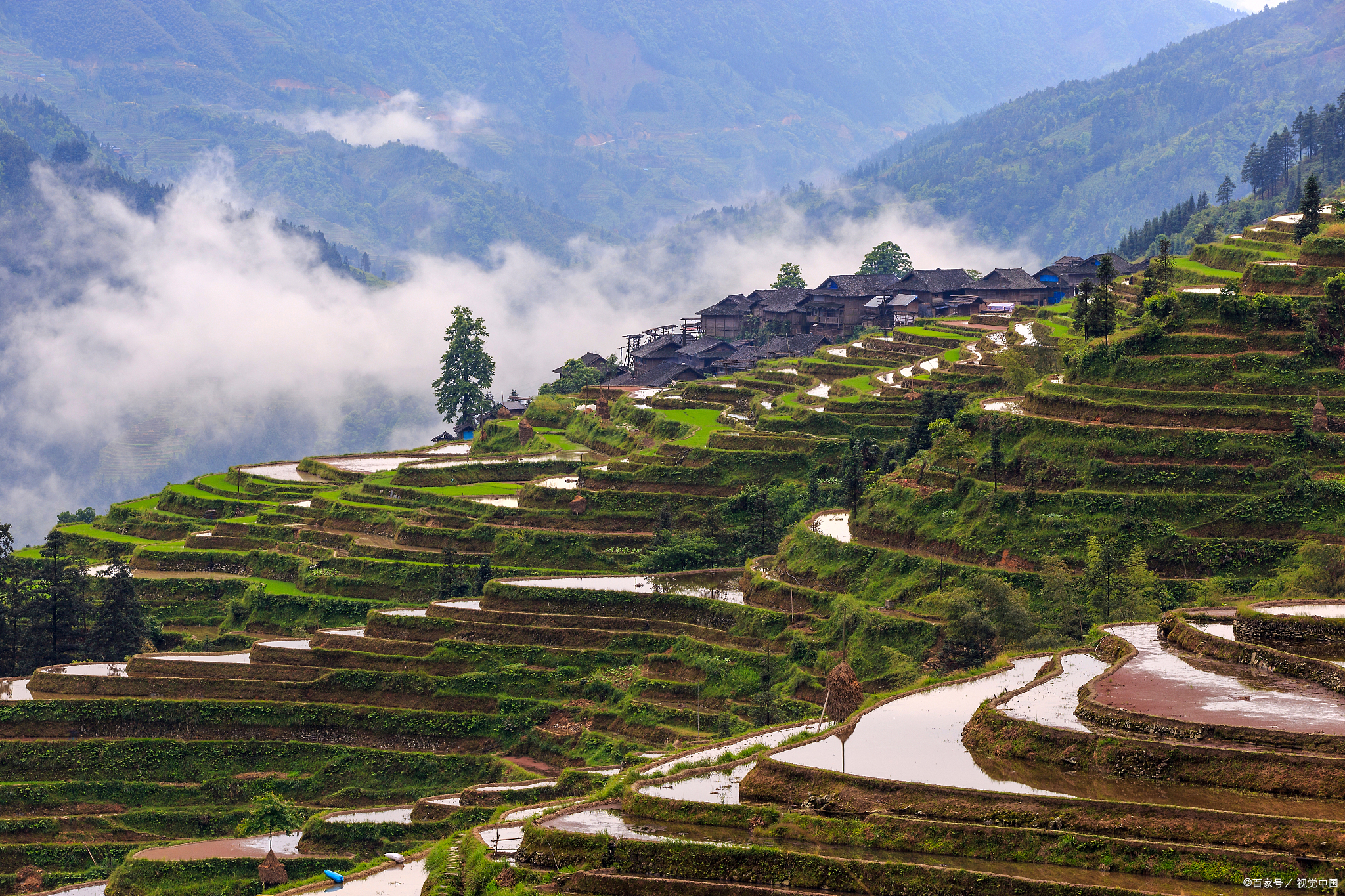 从江加榜梯田:绿色画卷中的夏日农忙乐章