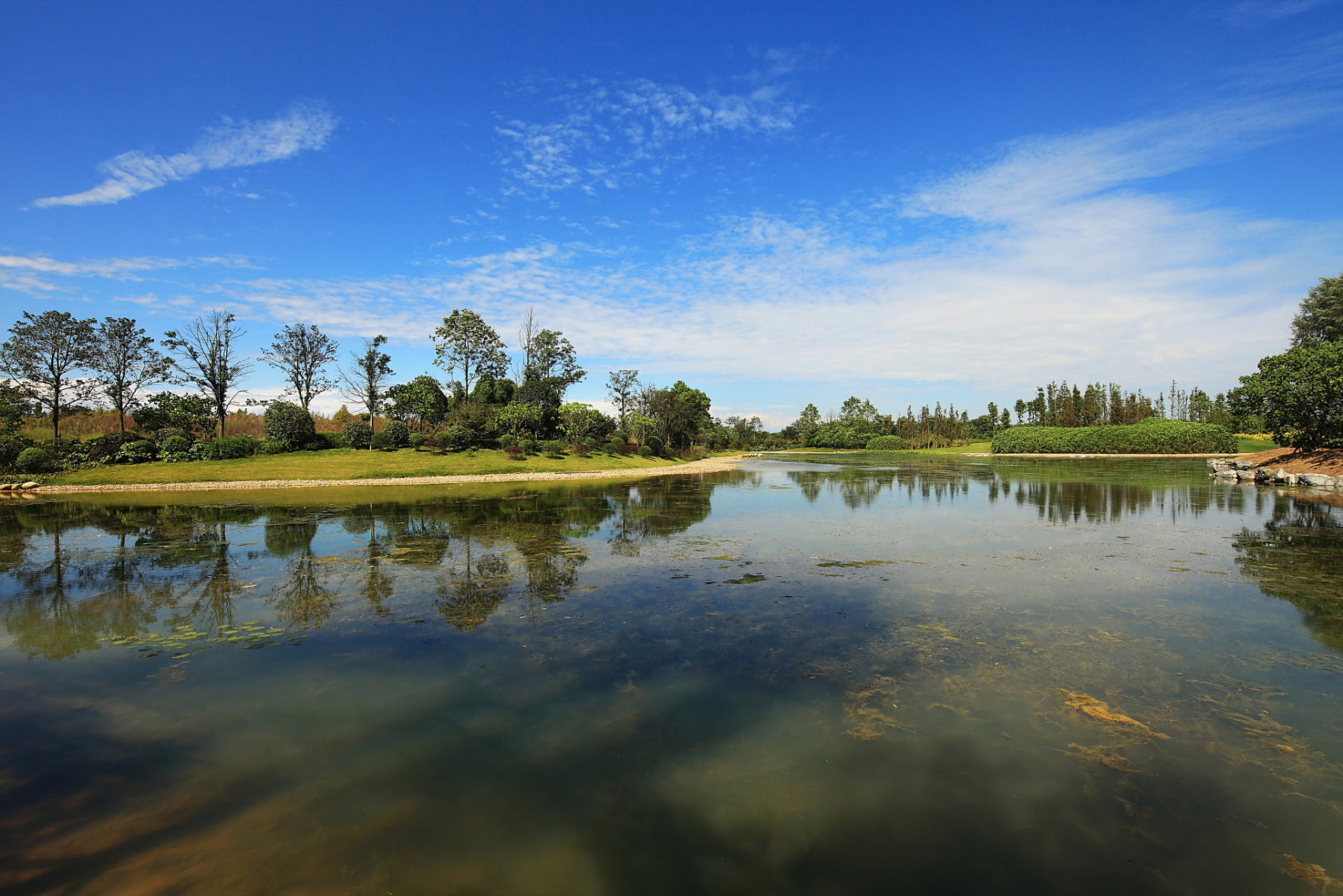 未来美学看郫都#  清水河公园,一个让人流连忘返的地方!