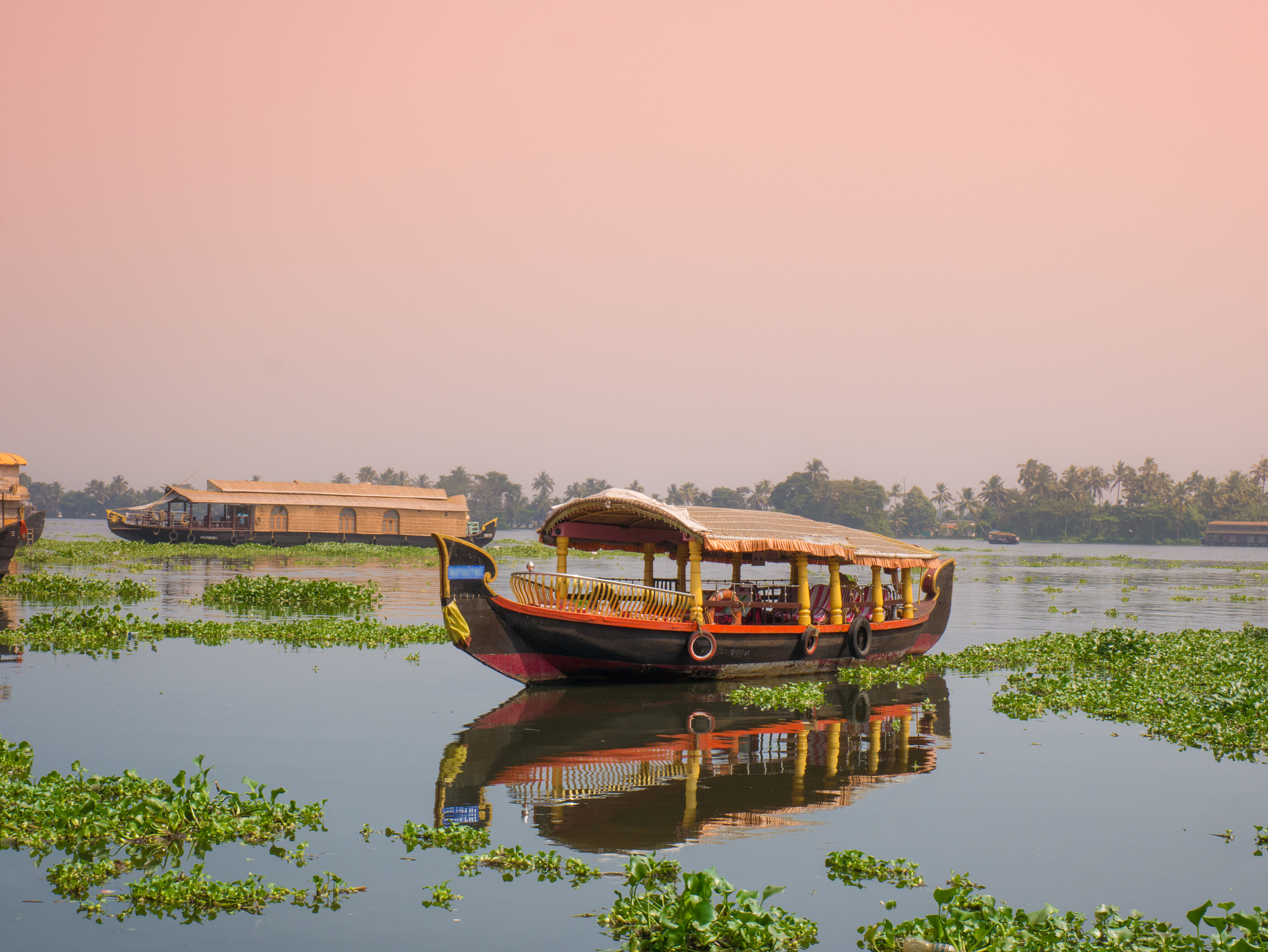 嘉兴南湖游船的浪漫旅程,是否成为你夏季浪漫的好选择?