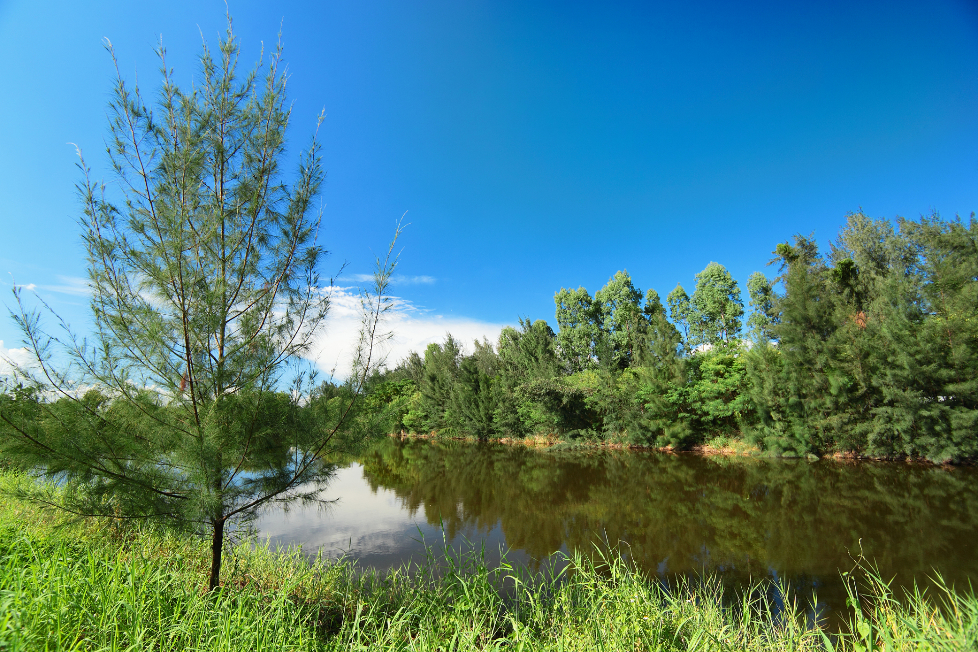 【妫河森林公园游玩攻略】探索自然之美,尽享休闲时光  99 妫河森林