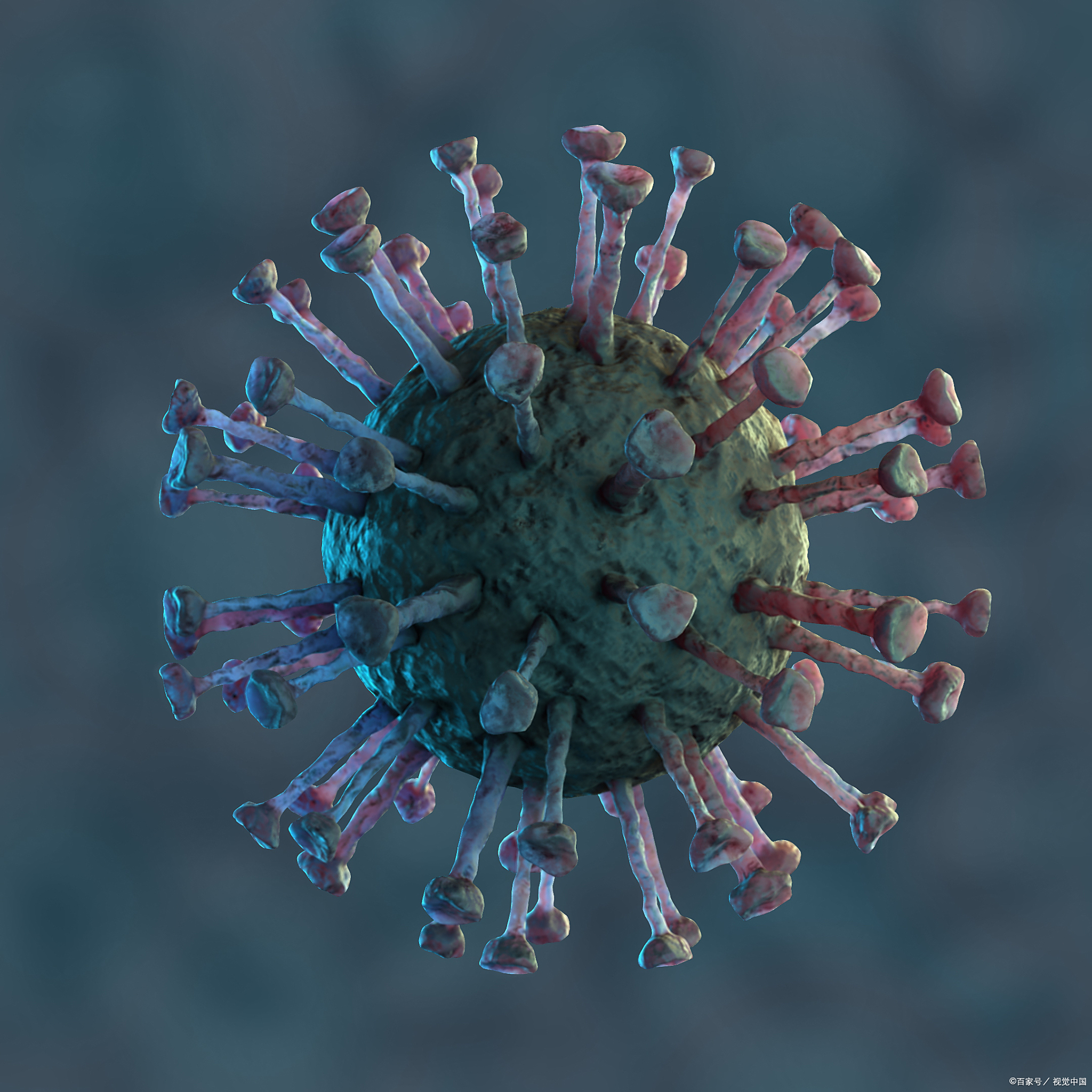 你是否听说过新冠病毒不仅带来短期的症状和不适,还可能导致长期的