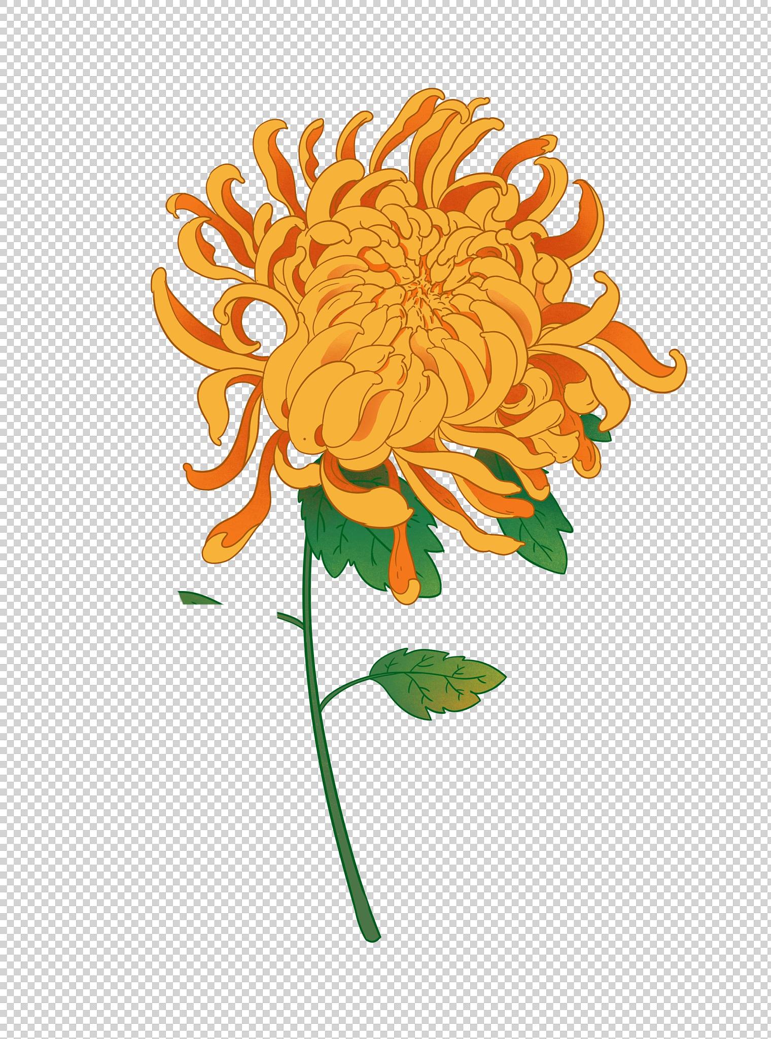 重阳节,一个富有传统文化内涵的节日,在每年的农历九