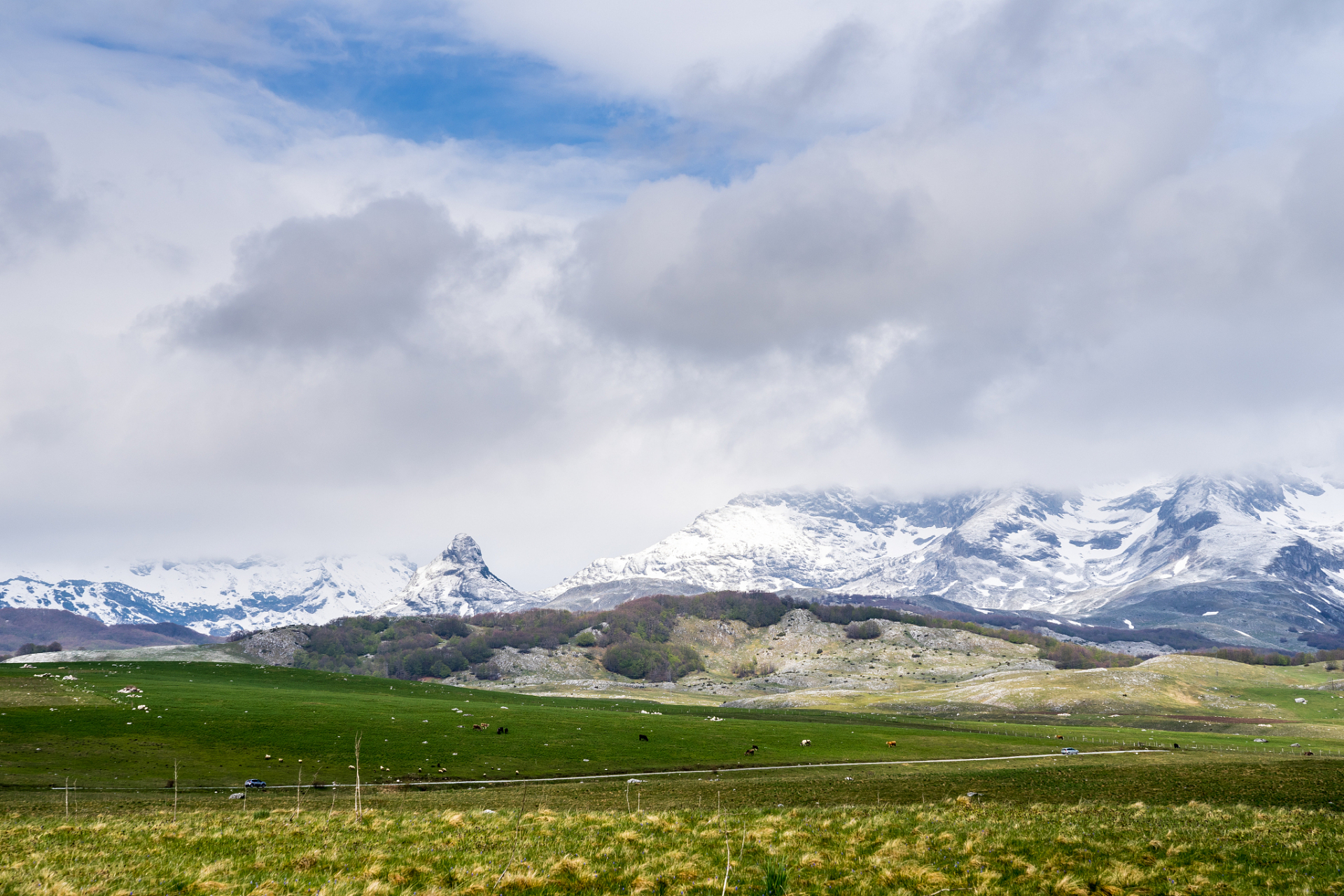 川西高寒草原,是中国最美的六大草原之一,被誉为香格里拉核心区.