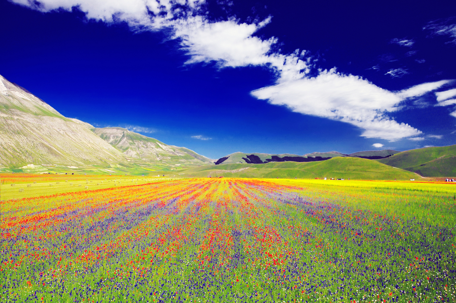 奇遇那拉提#新疆花海那拉提不仅拥有美丽的风景,还有着多个打卡胜地.