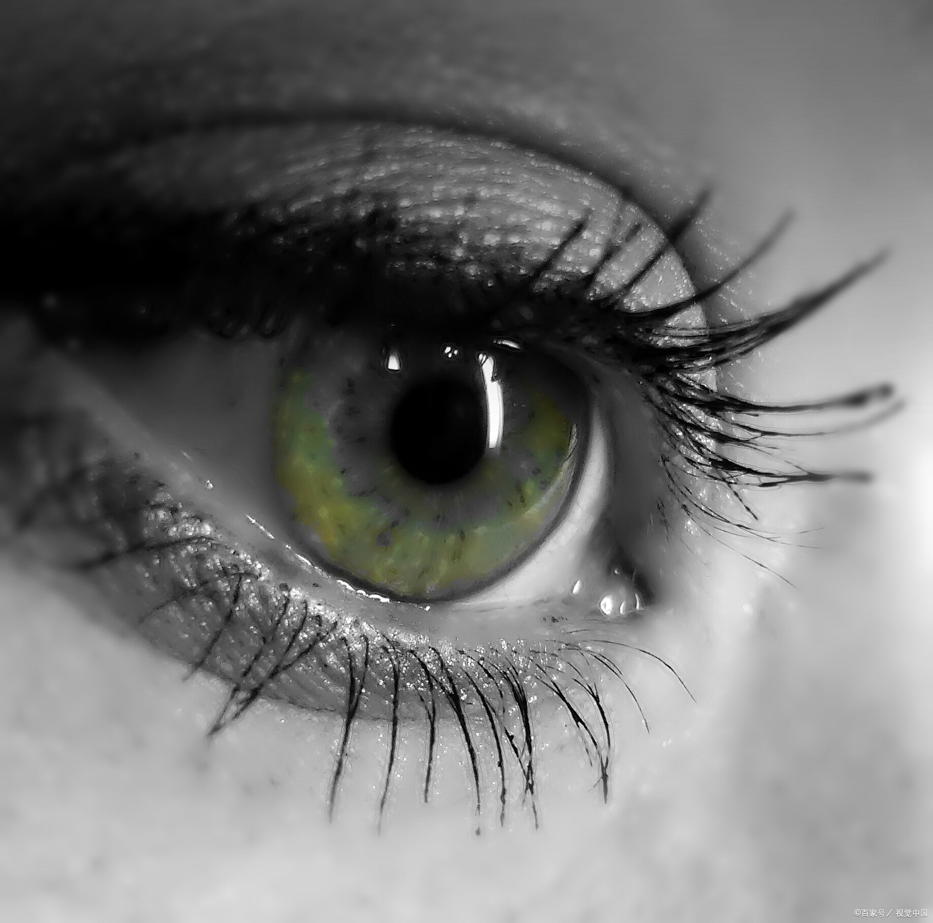 原因与对策 眼睛突然像蒙了层雾,看东西模模糊糊,别不当回事!