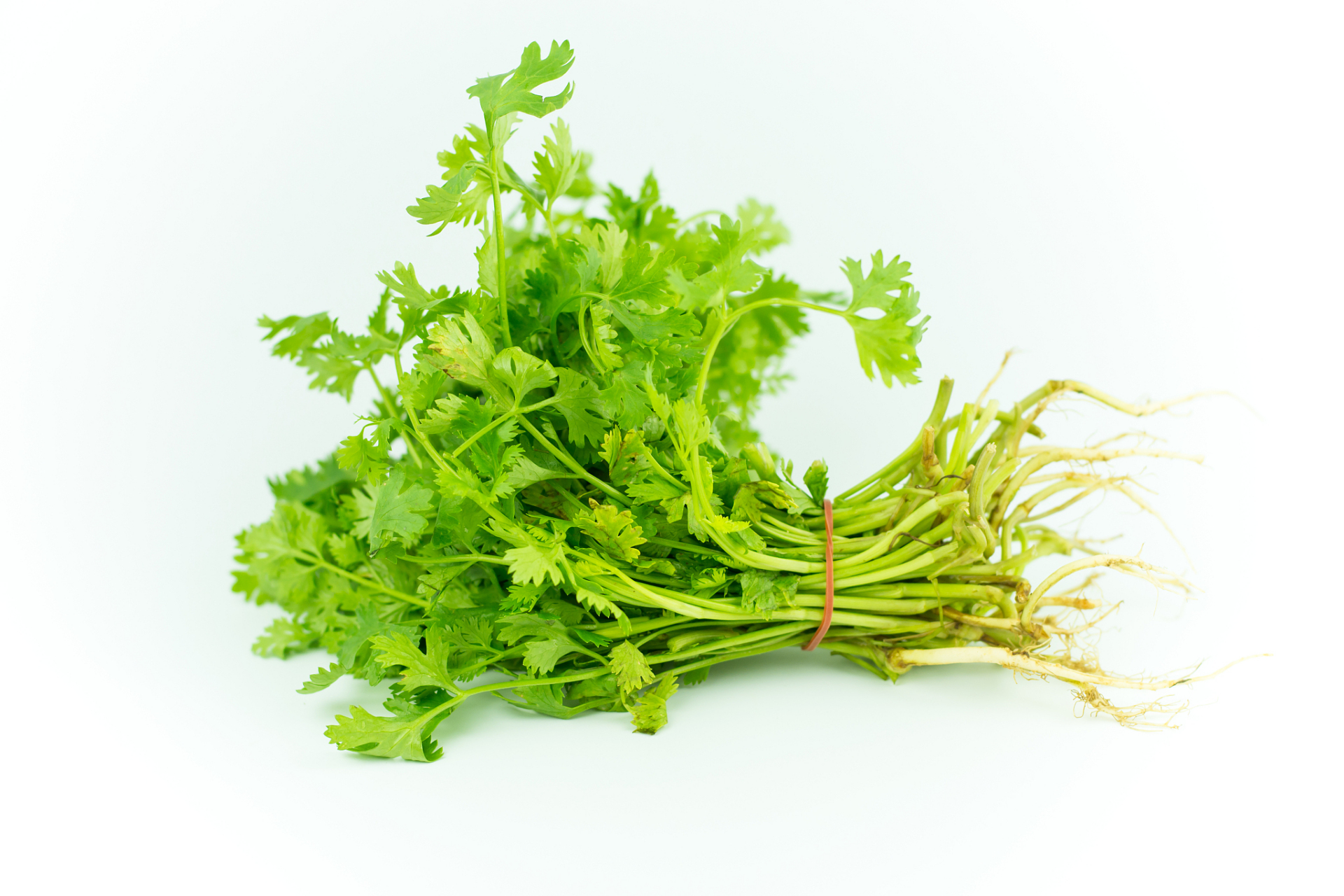 香菜有哪些保健养生功效  1, 祛除寒气  香菜性温