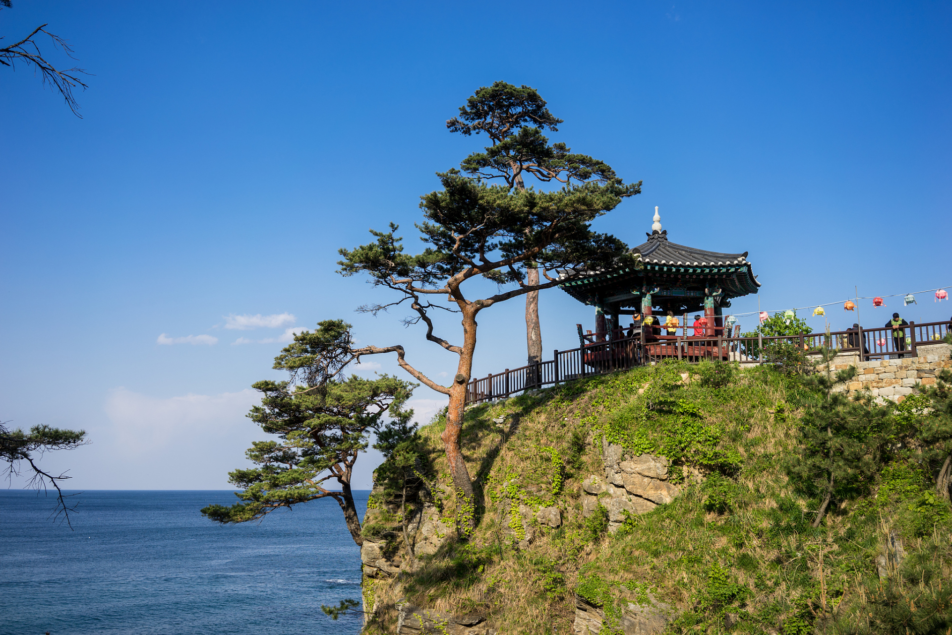 迎来了葫芦岛的秋天,说到秋天,大家都会想到漫山红叶,层林尽染的美景