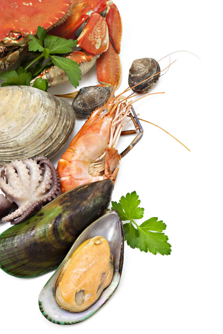 生吃海鲜真的会被寄生虫感染吗?