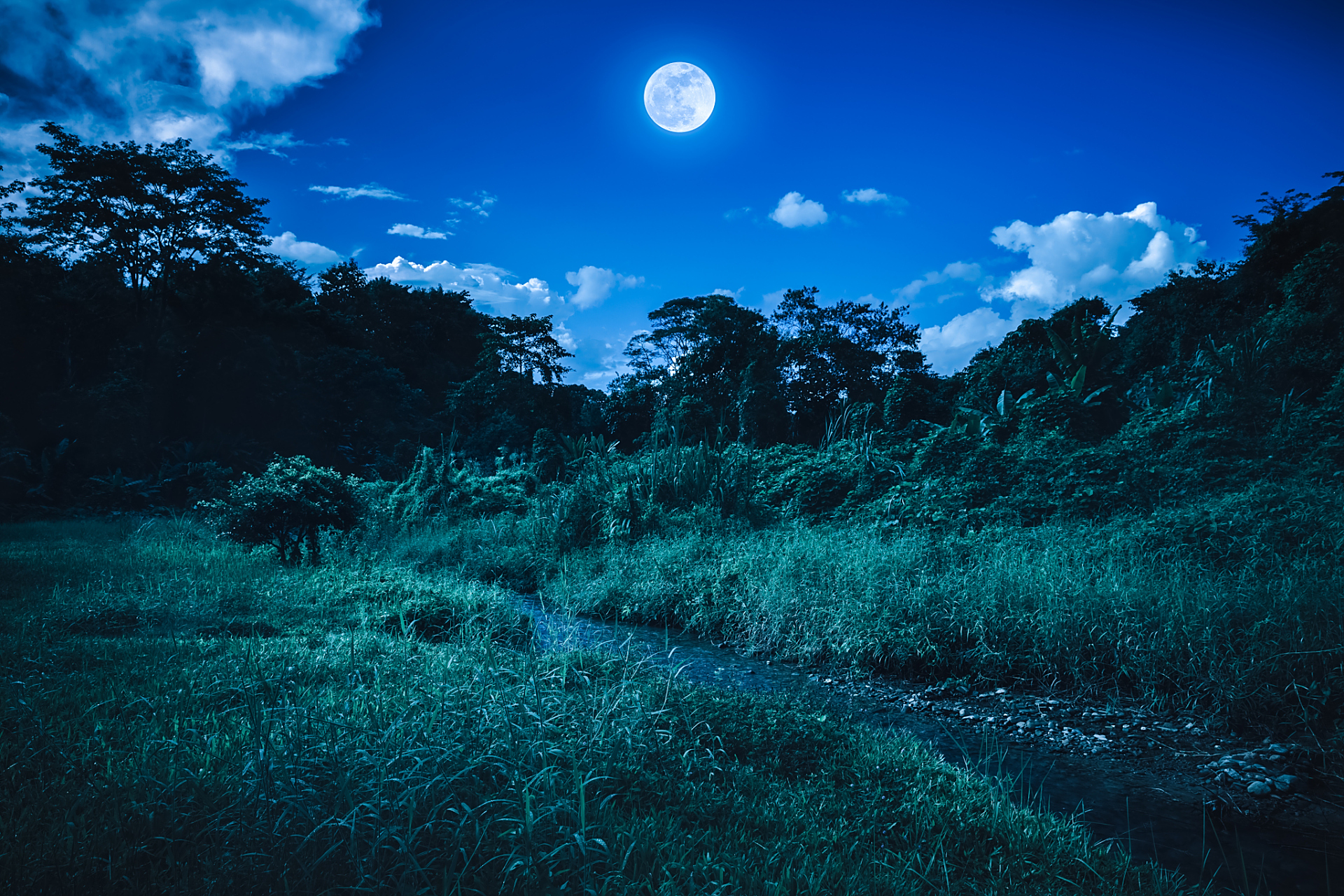 月亮只是月亮,不会在乎地上多一个人的眺望 一轮明月,高悬在夜空之中