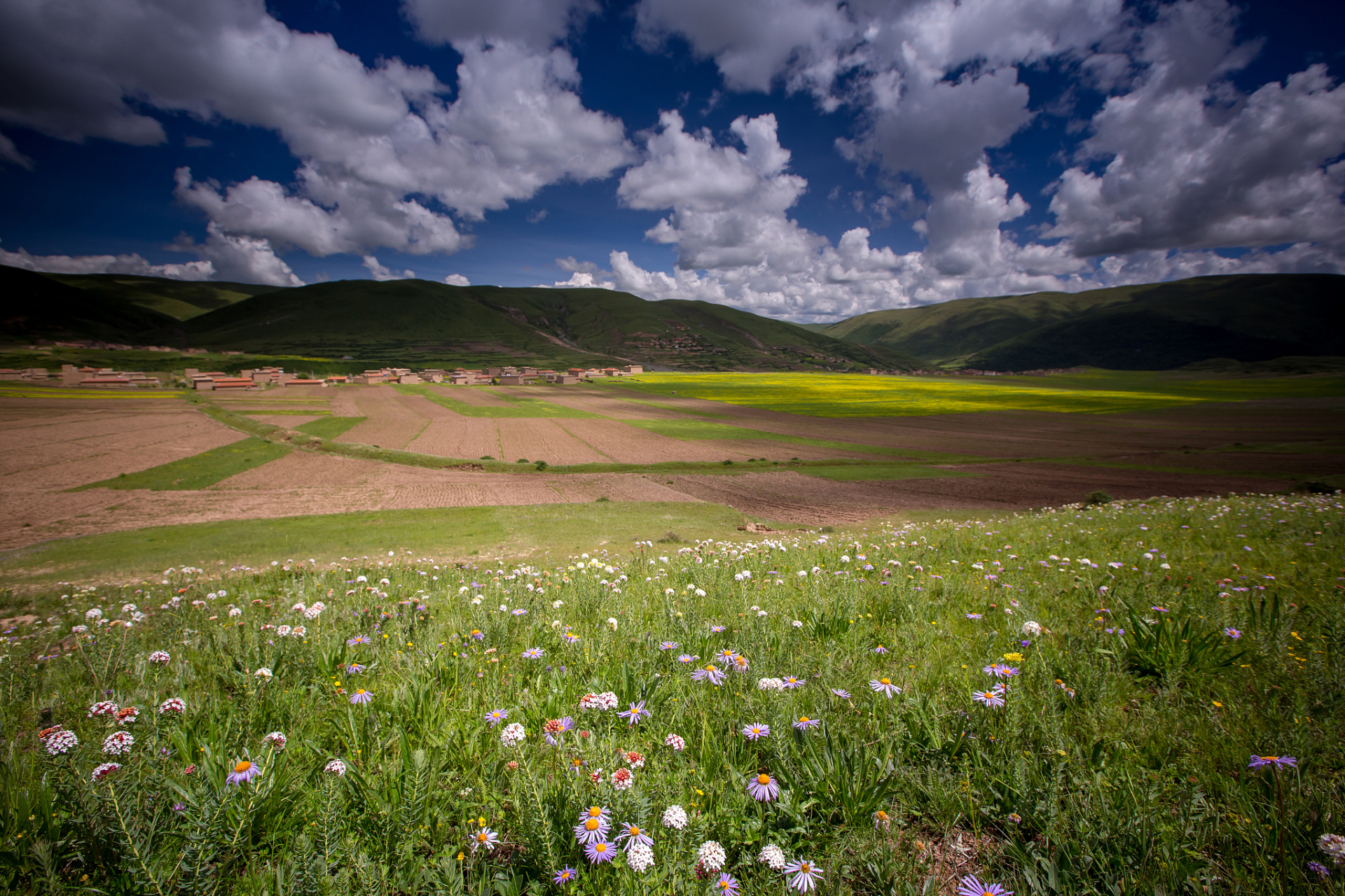 镜头里的春天# 春日漫游香格里拉的高原,蓝天白云下的雪山,草原,钩缮