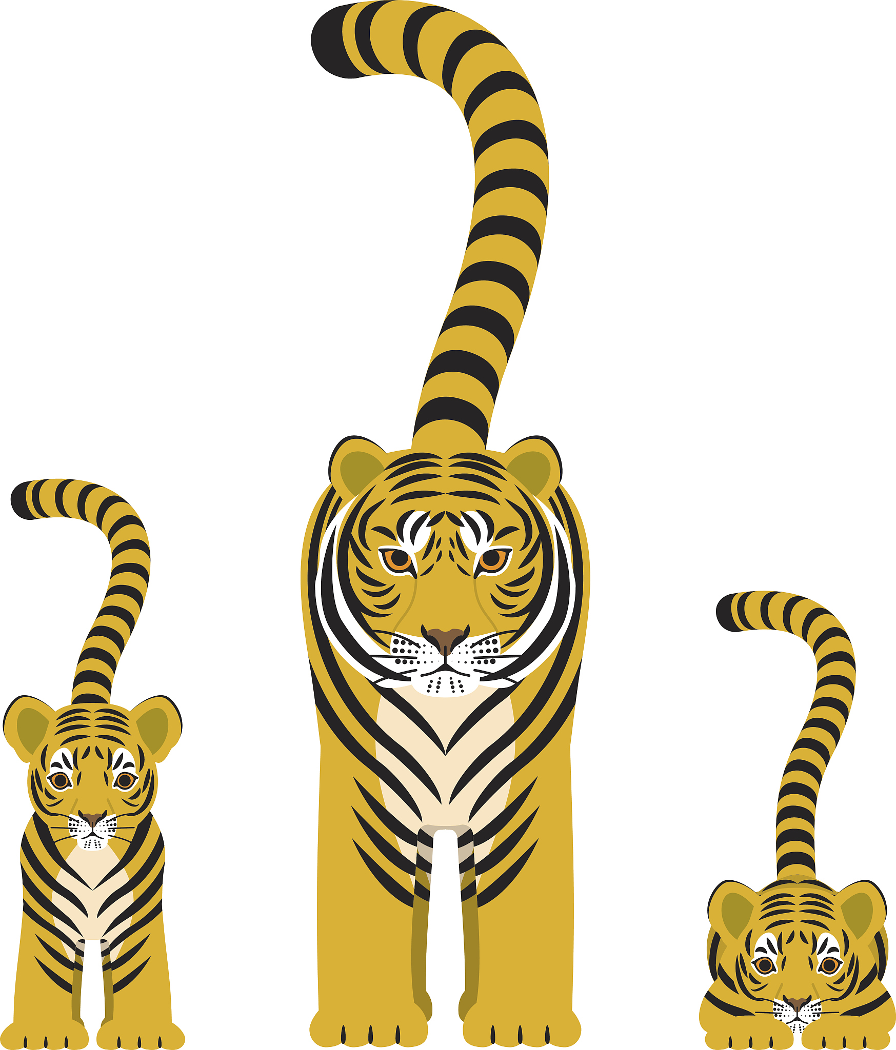 生肖虎2025运势图文(生肖虎2025年运势及运程)