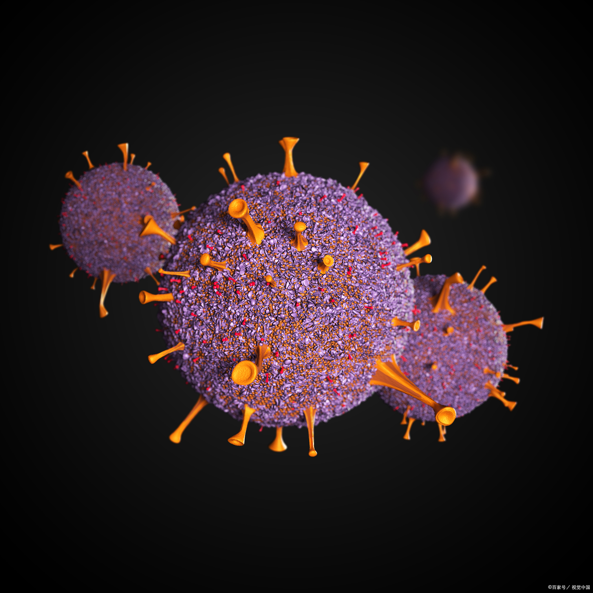 养生免疫系统:增强身体的防御力