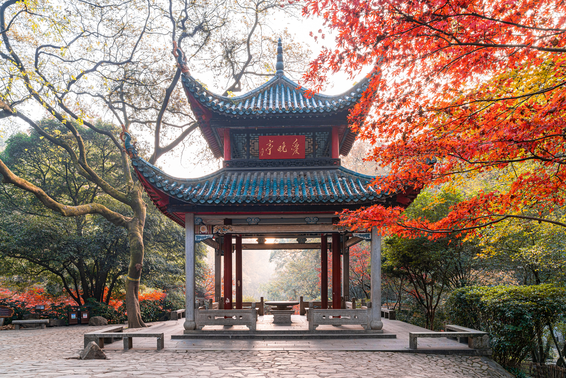 不止西安,湖南长沙也是火爆,排队排到隔壁景区门口  今年五一假期