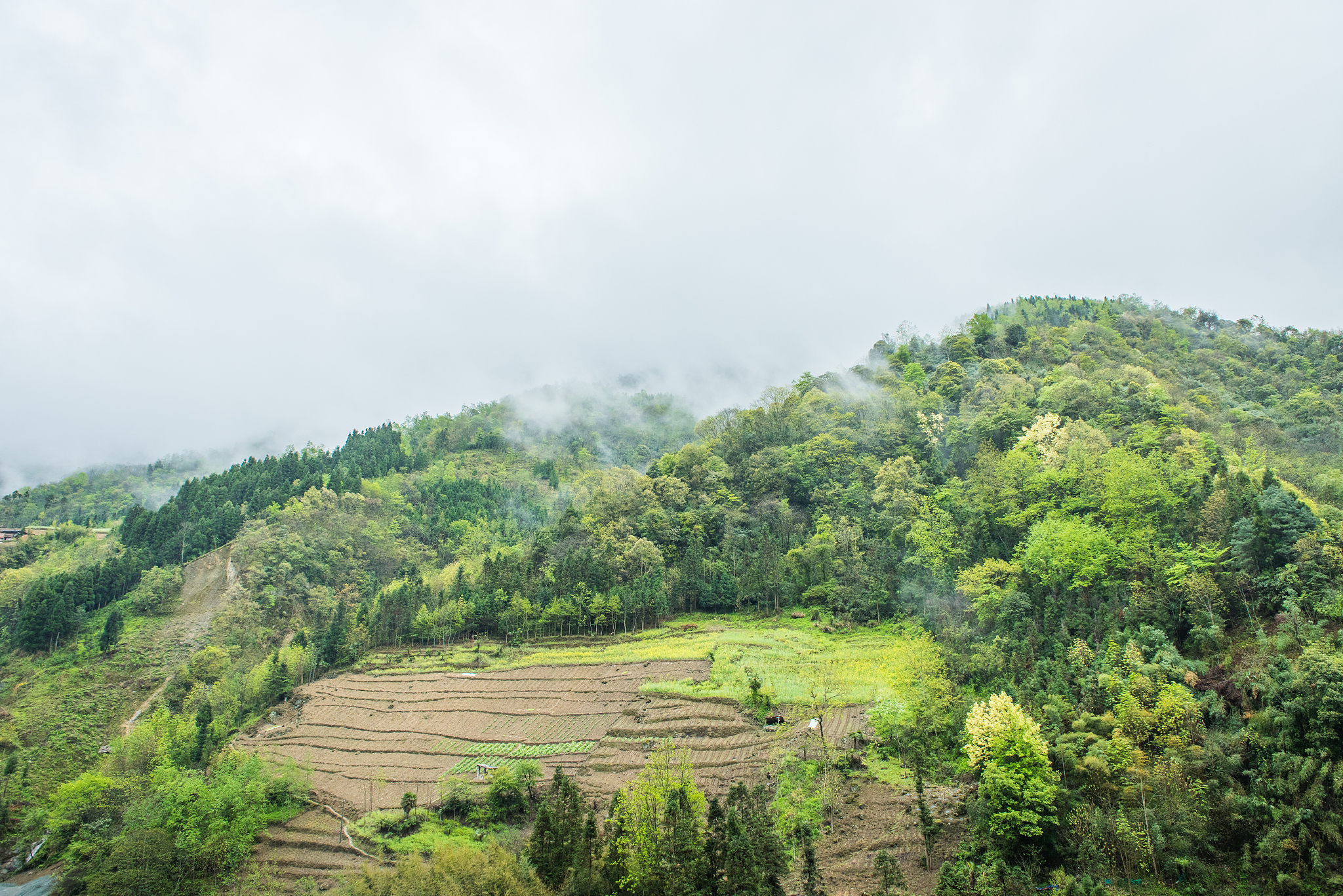 临沧双江勐库大雪山普洱茶发源地,沧源翁丁佤族古村传统文化