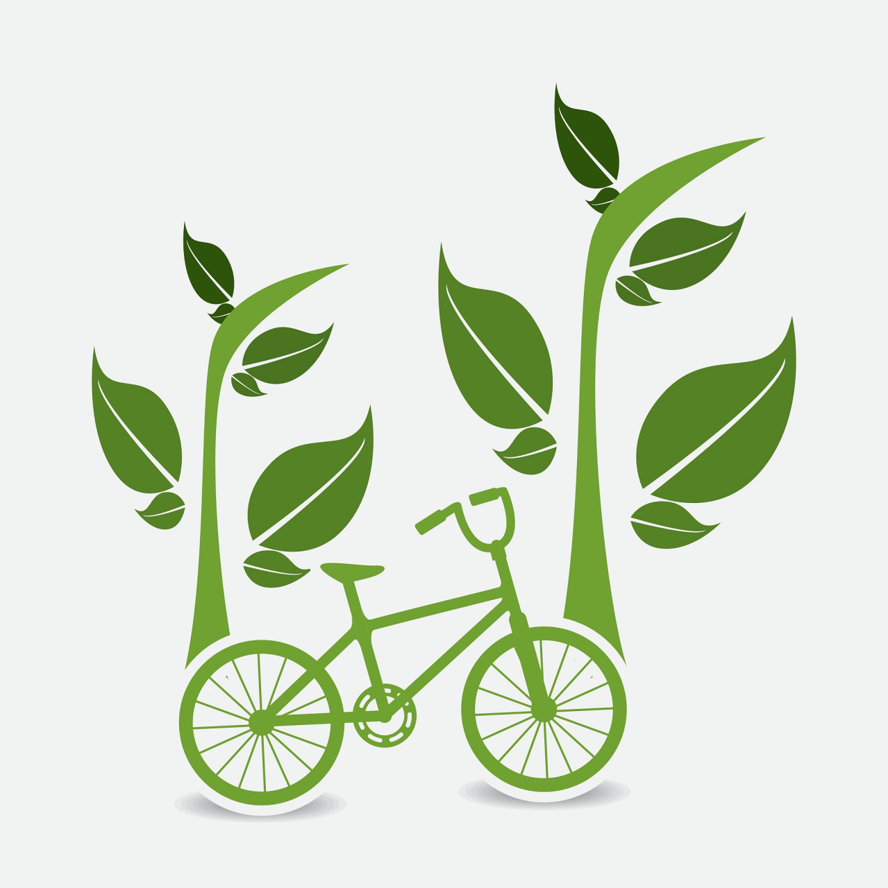 作为一名大学生,绿色出行已经成为了我生活的一部分