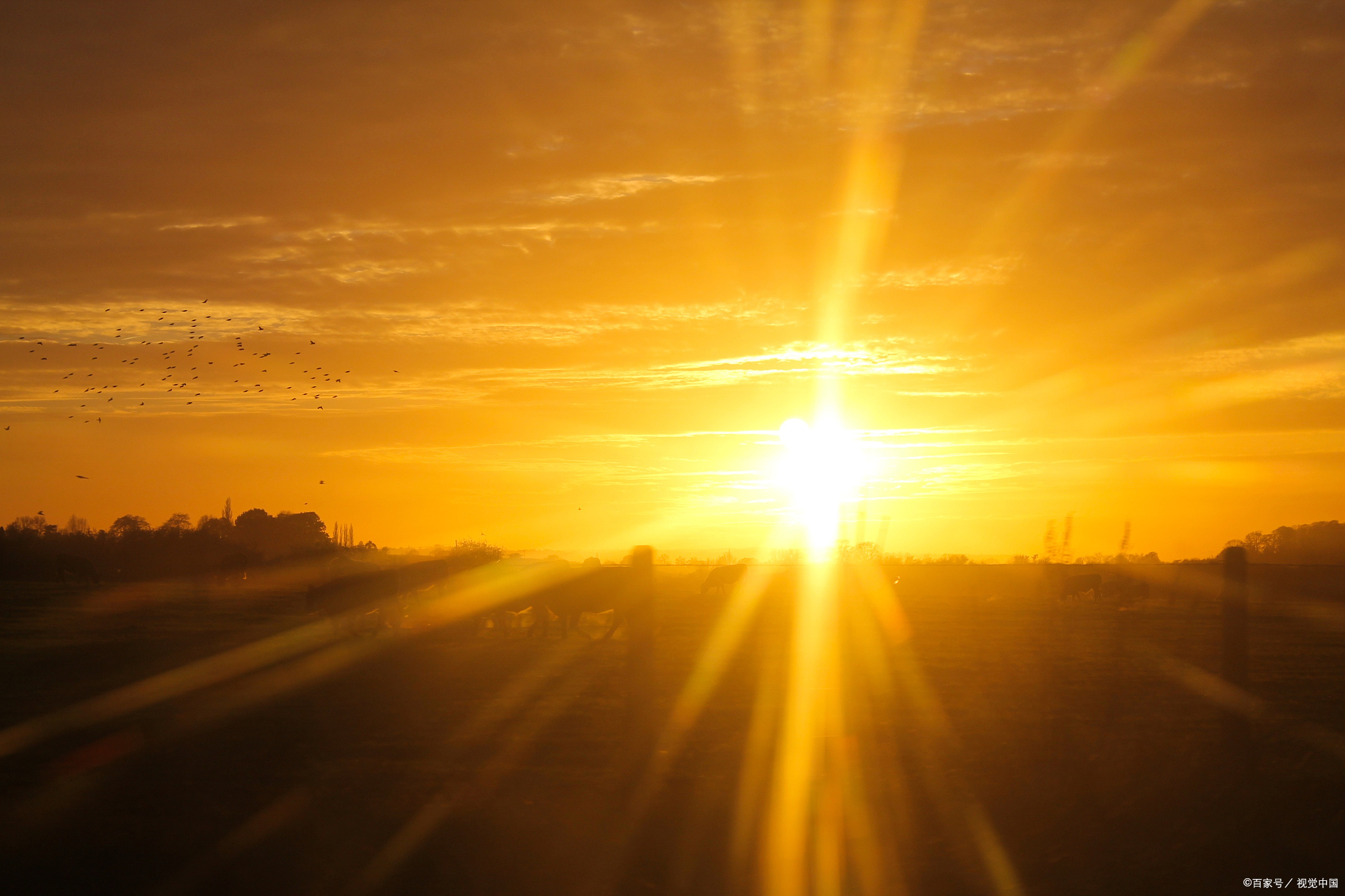 翊字起名,光明灿烂