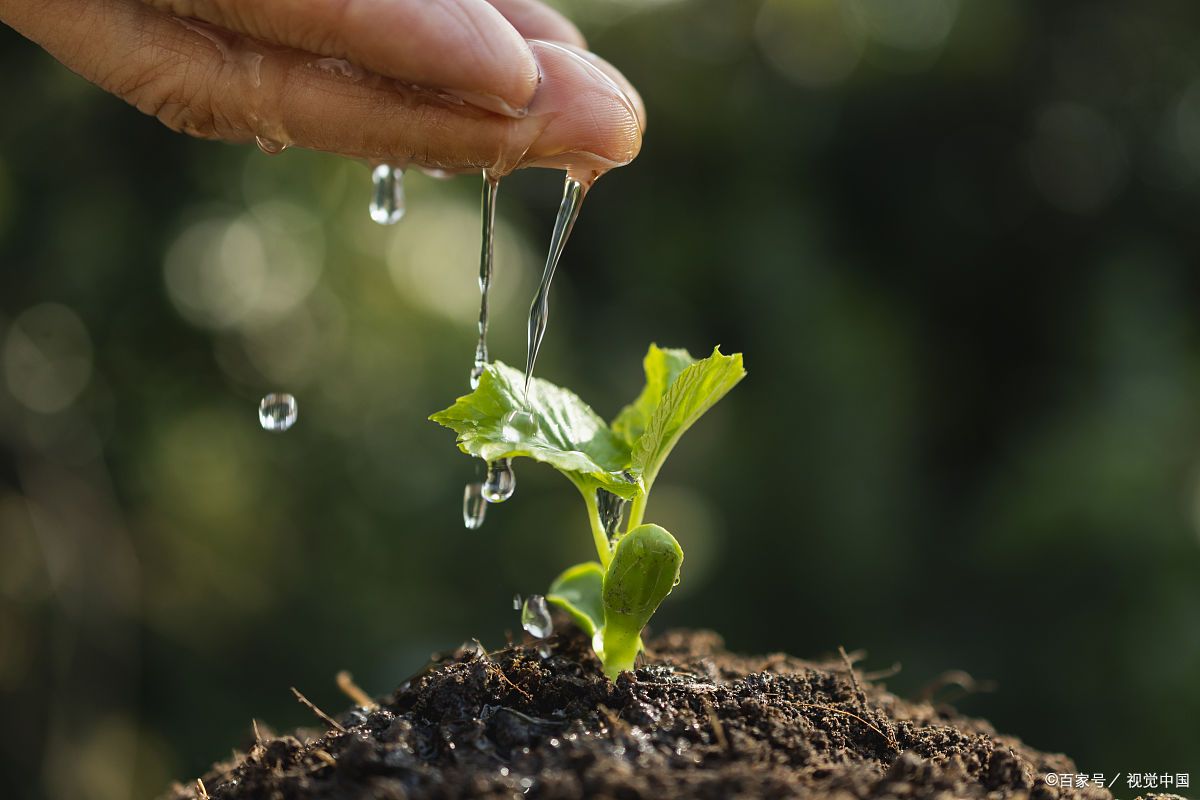汗水,是奋斗者的甘露,每一滴都承载着不懈追求与辛勤付出