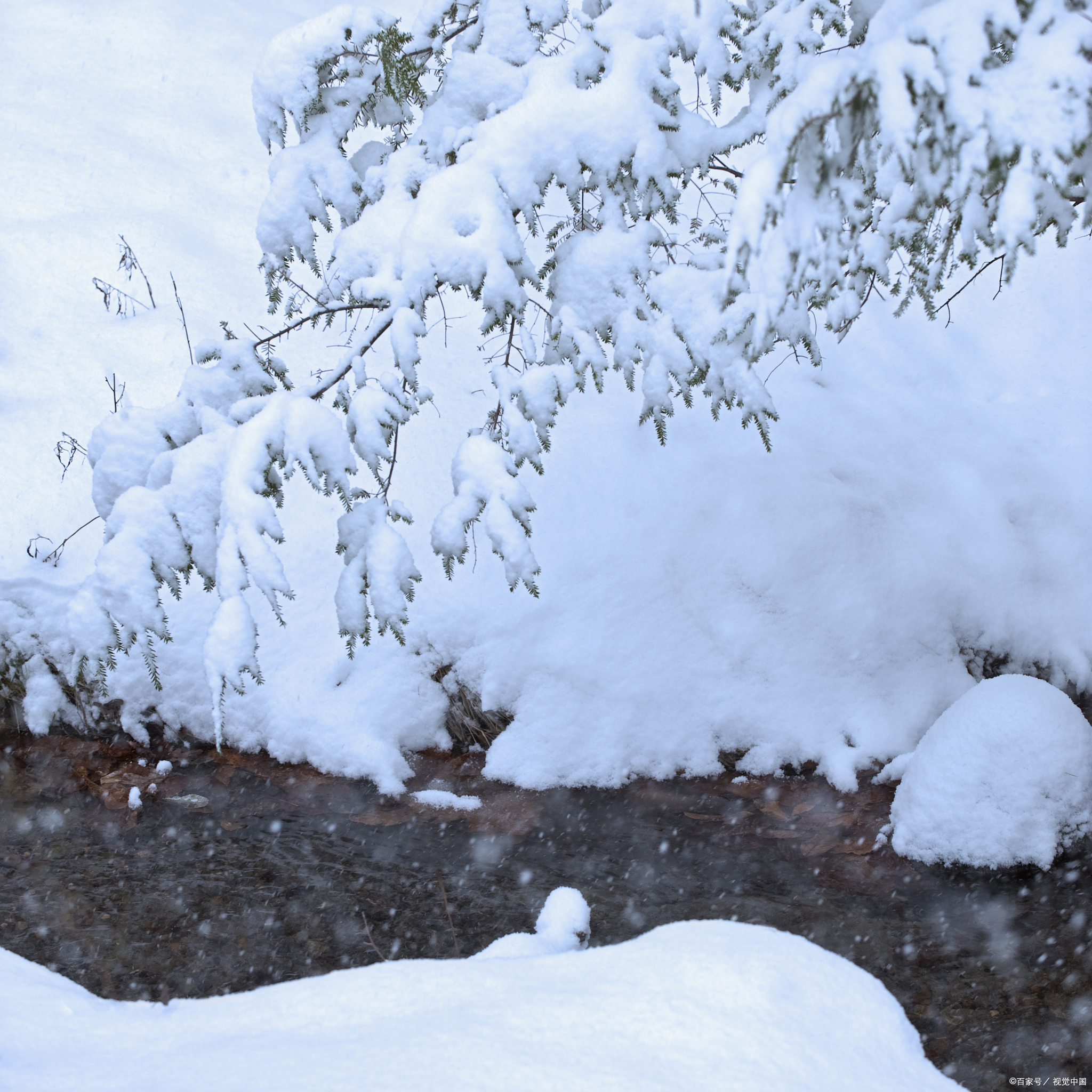 大雪景色很美图片