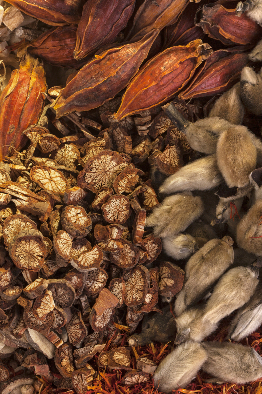 固涩止遗,主治肾虚,遗精滑精【仅供参考】  方组:芡实,金樱子